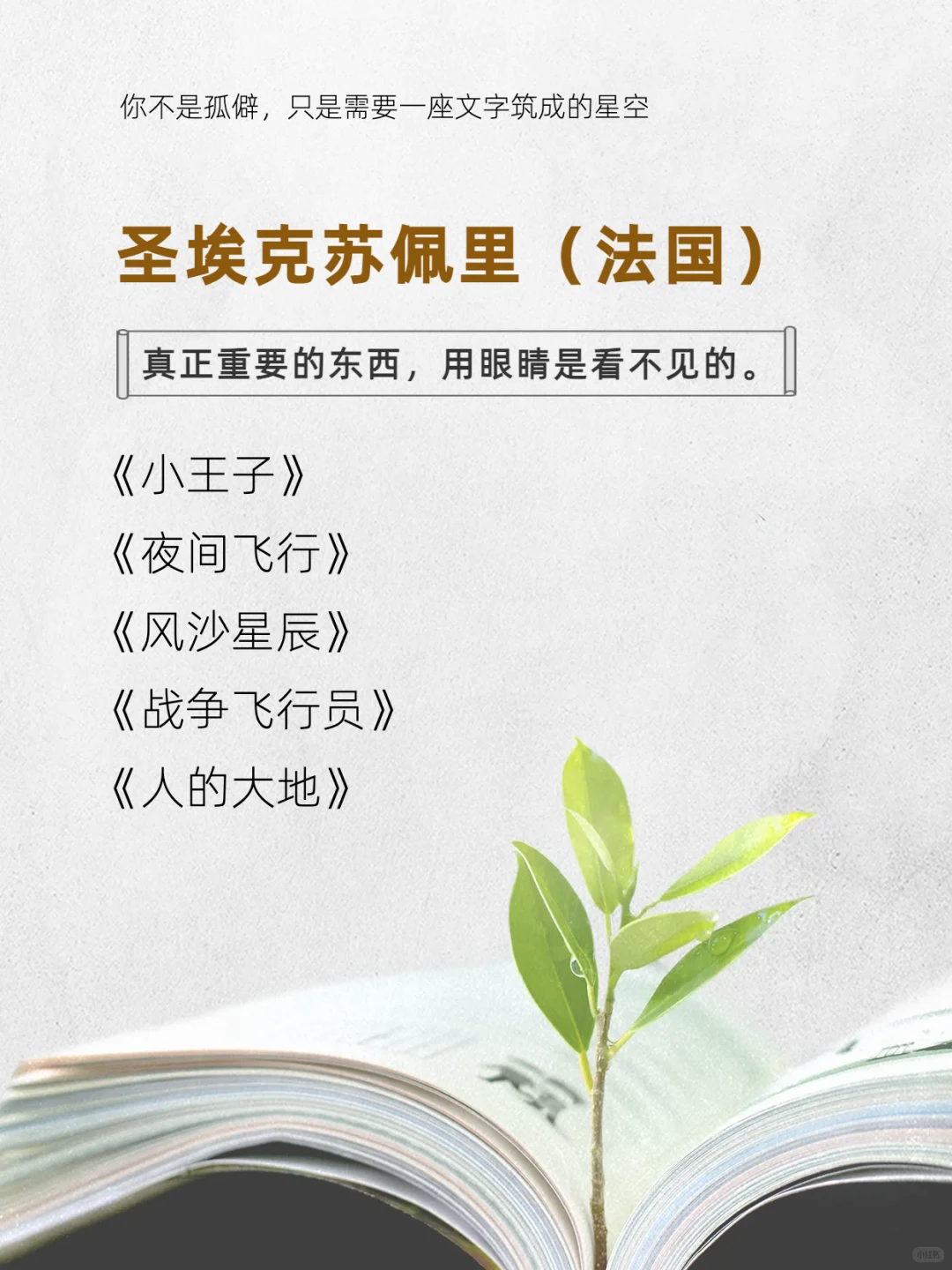 这8位作家的书，请infp往烂了读！！！