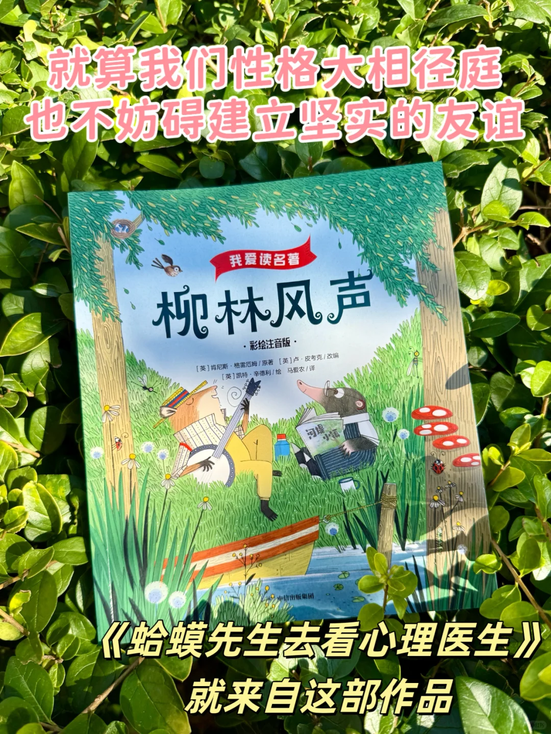 一二年级刷阅读量首选👍爆款注音桥梁书