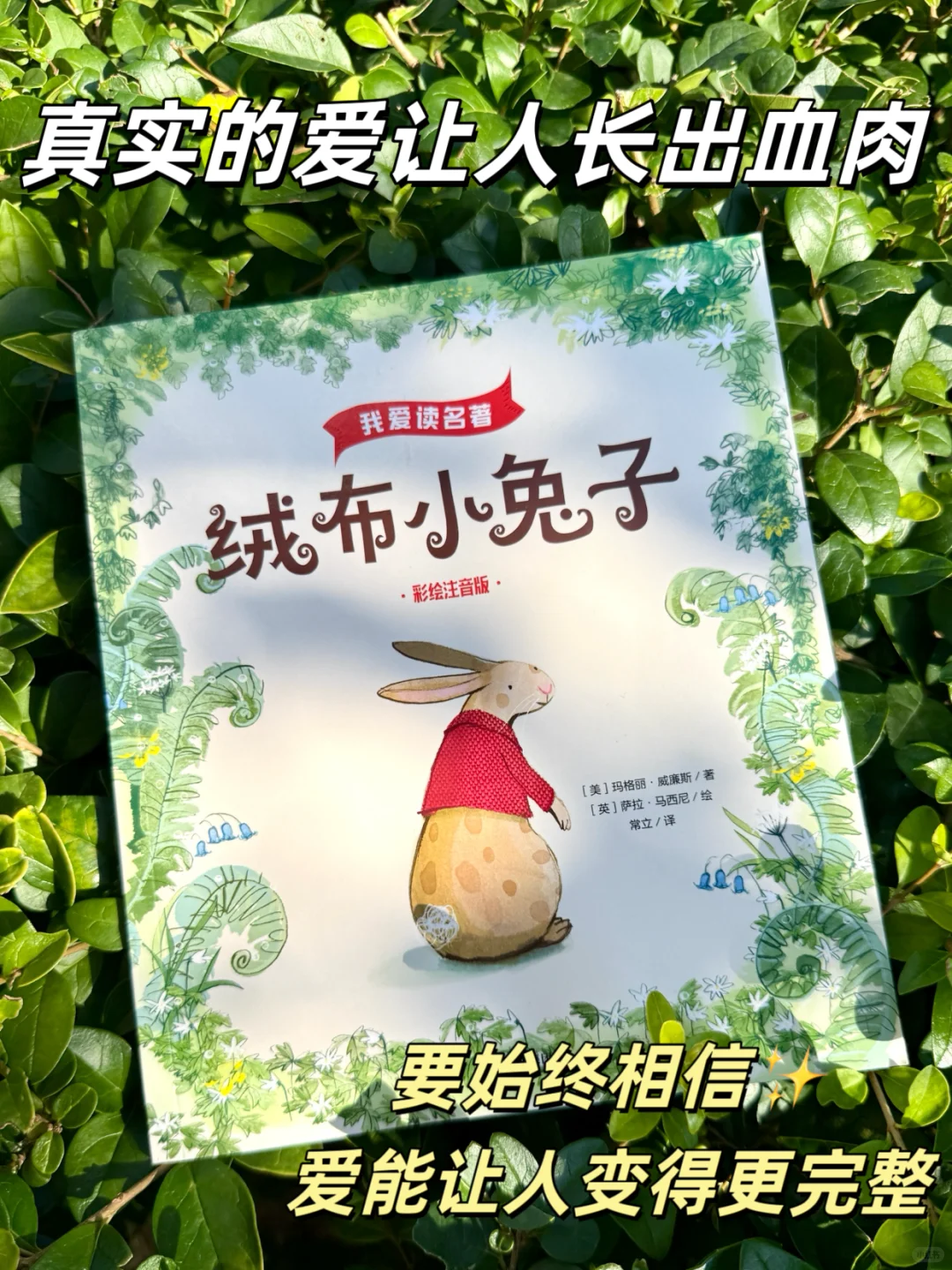 一二年级刷阅读量首选👍爆款注音桥梁书