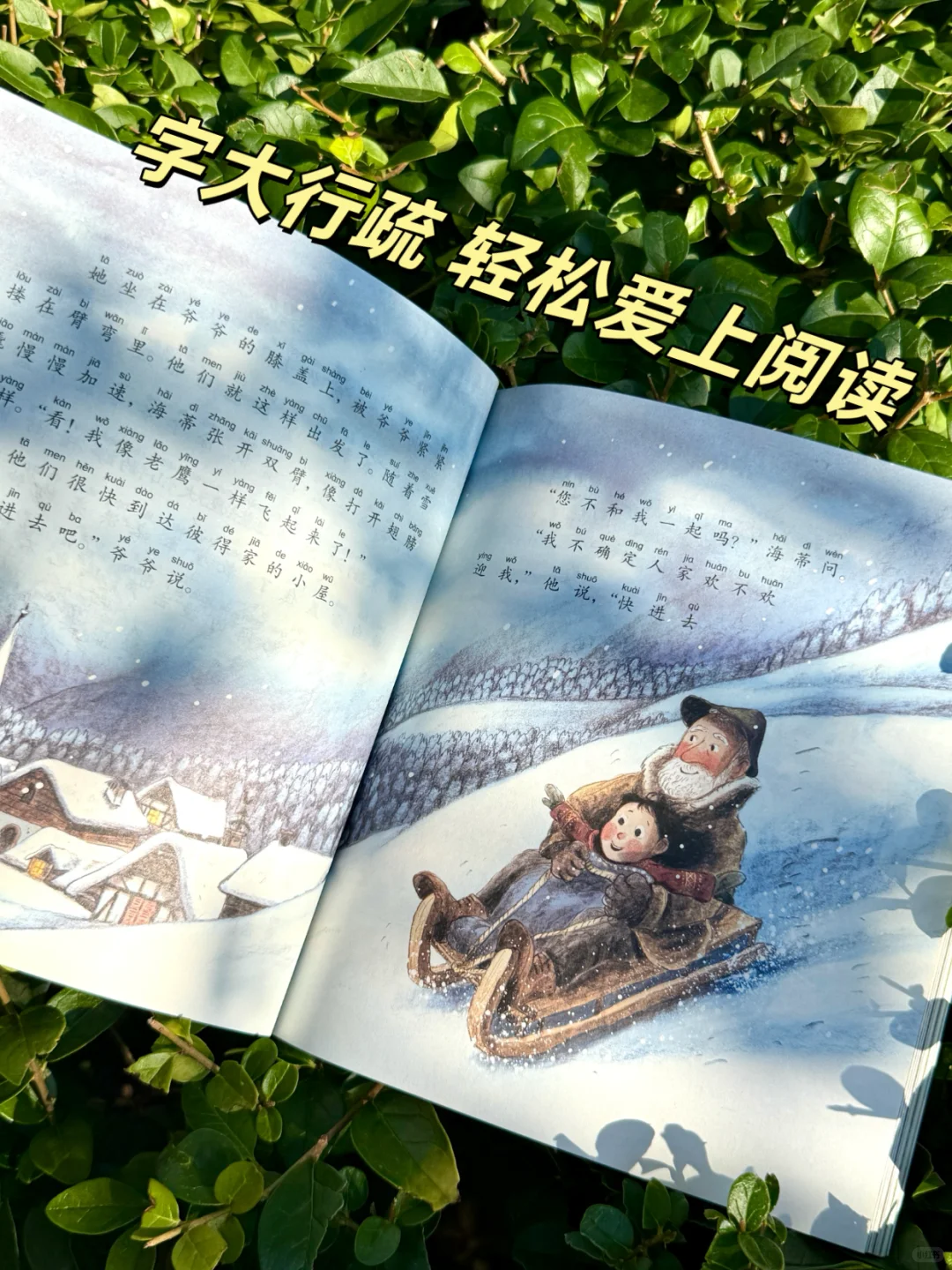 一二年级刷阅读量首选👍爆款注音桥梁书