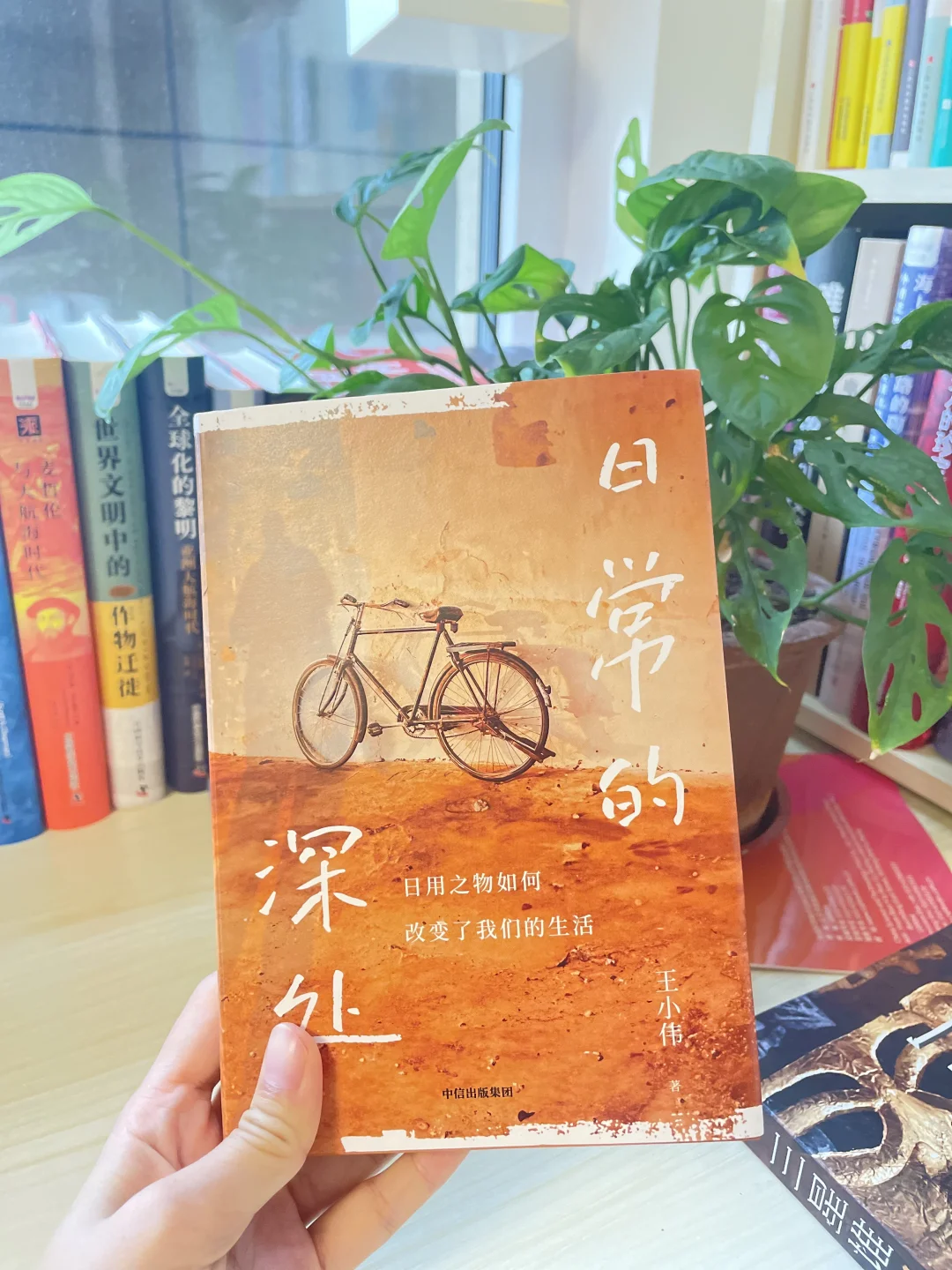 2025年最喜欢的一本书！