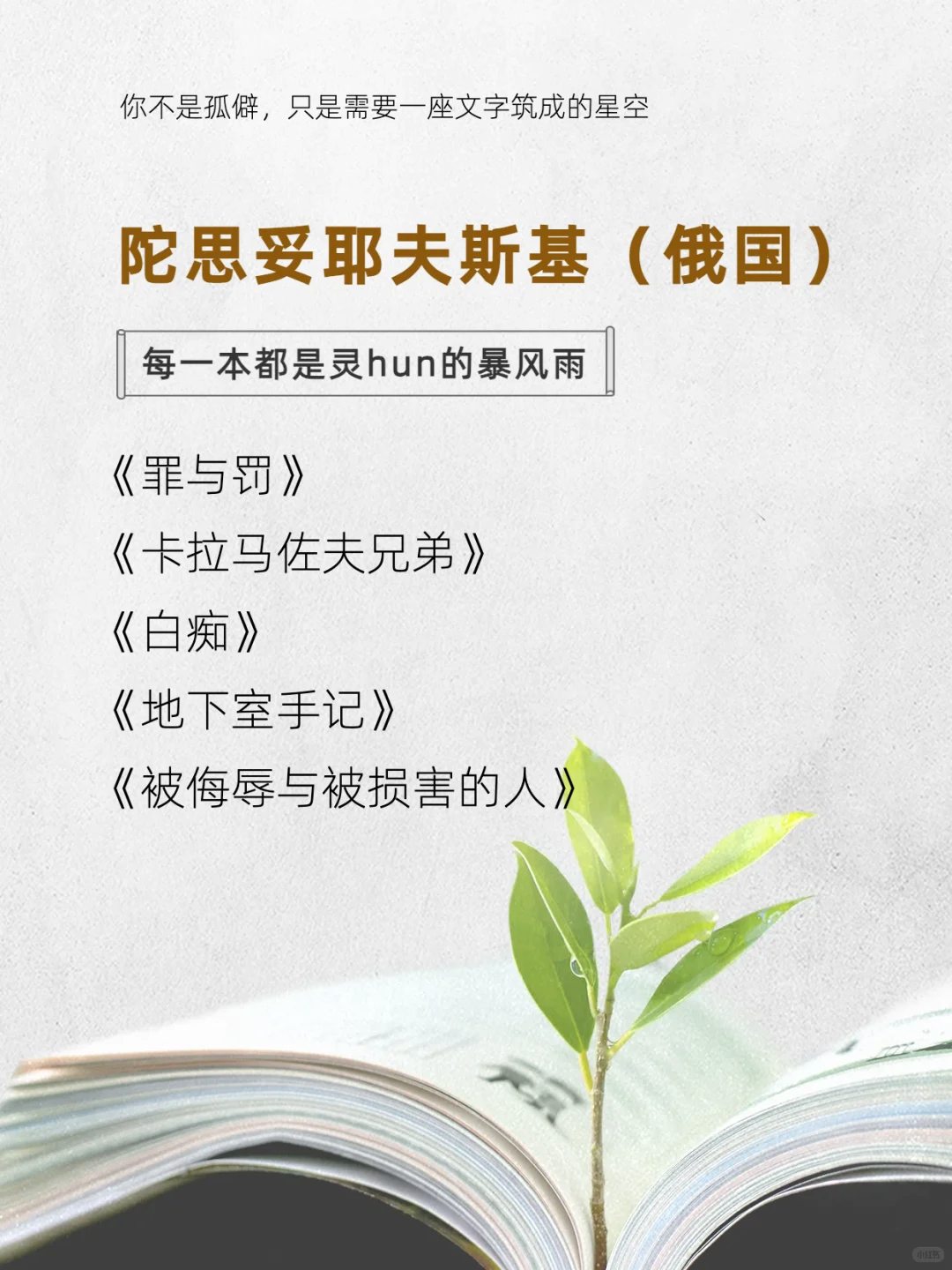 这8位作家的书，请infp往烂了读！！！