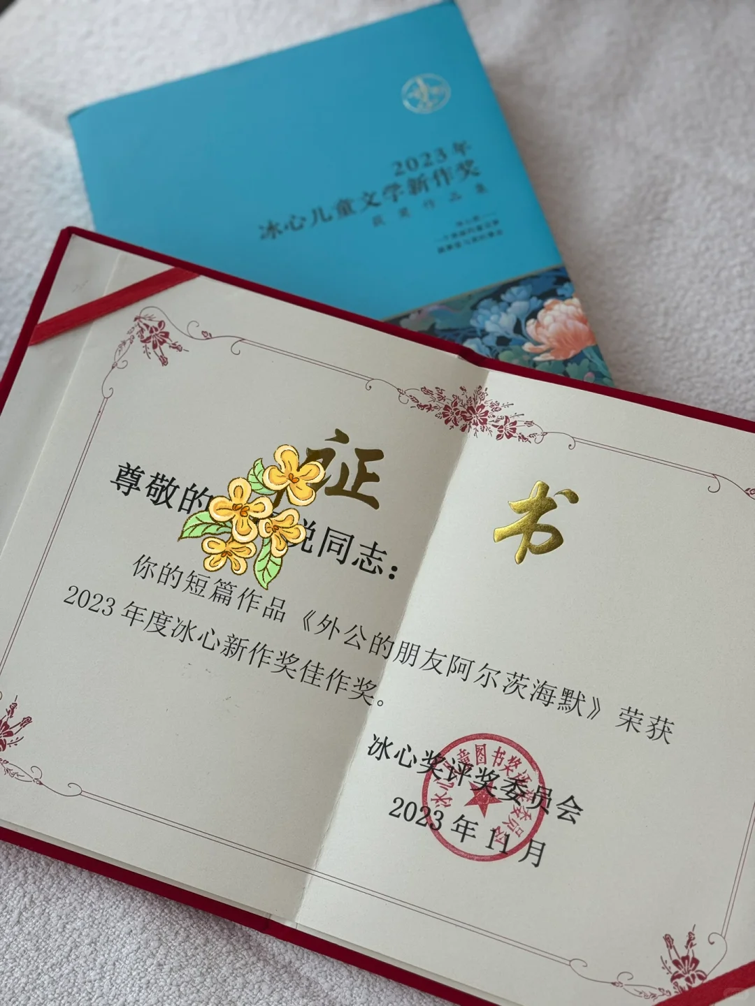 我获冰心儿文奖啦！💗