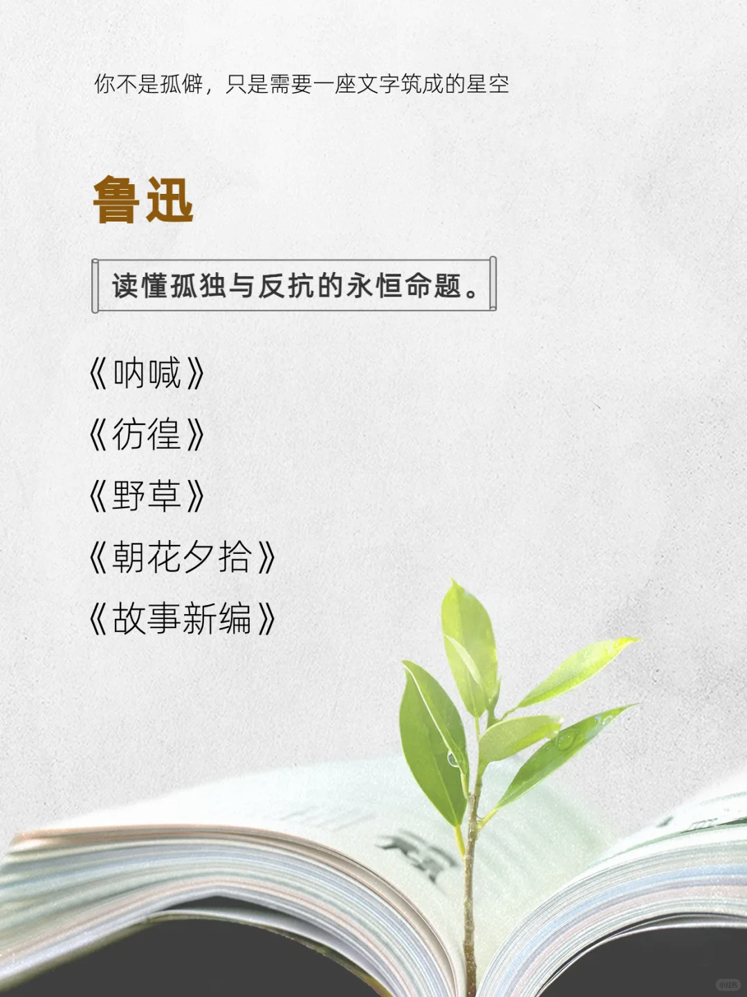 这8位作家的书，请infp往烂了读！！！
