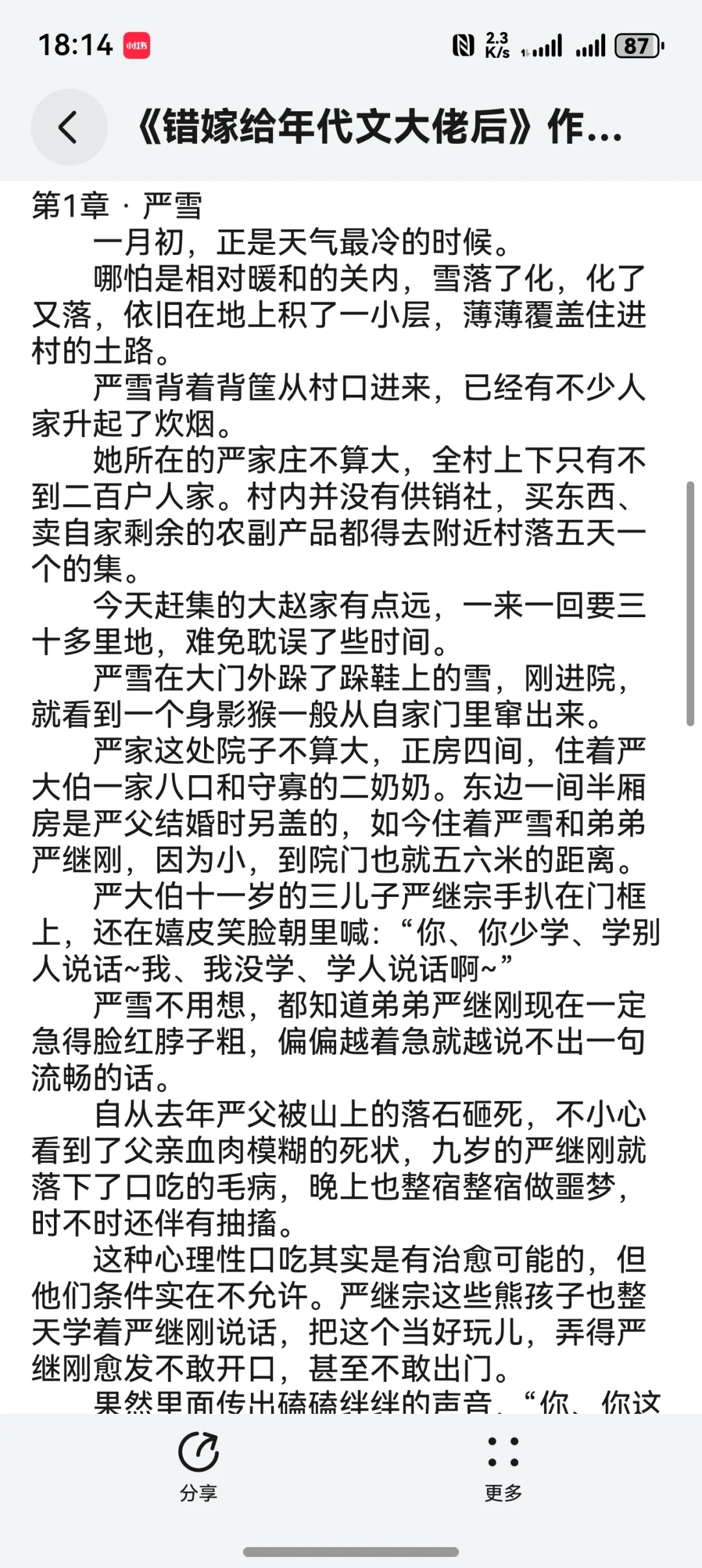 《错嫁给年代文大佬后》