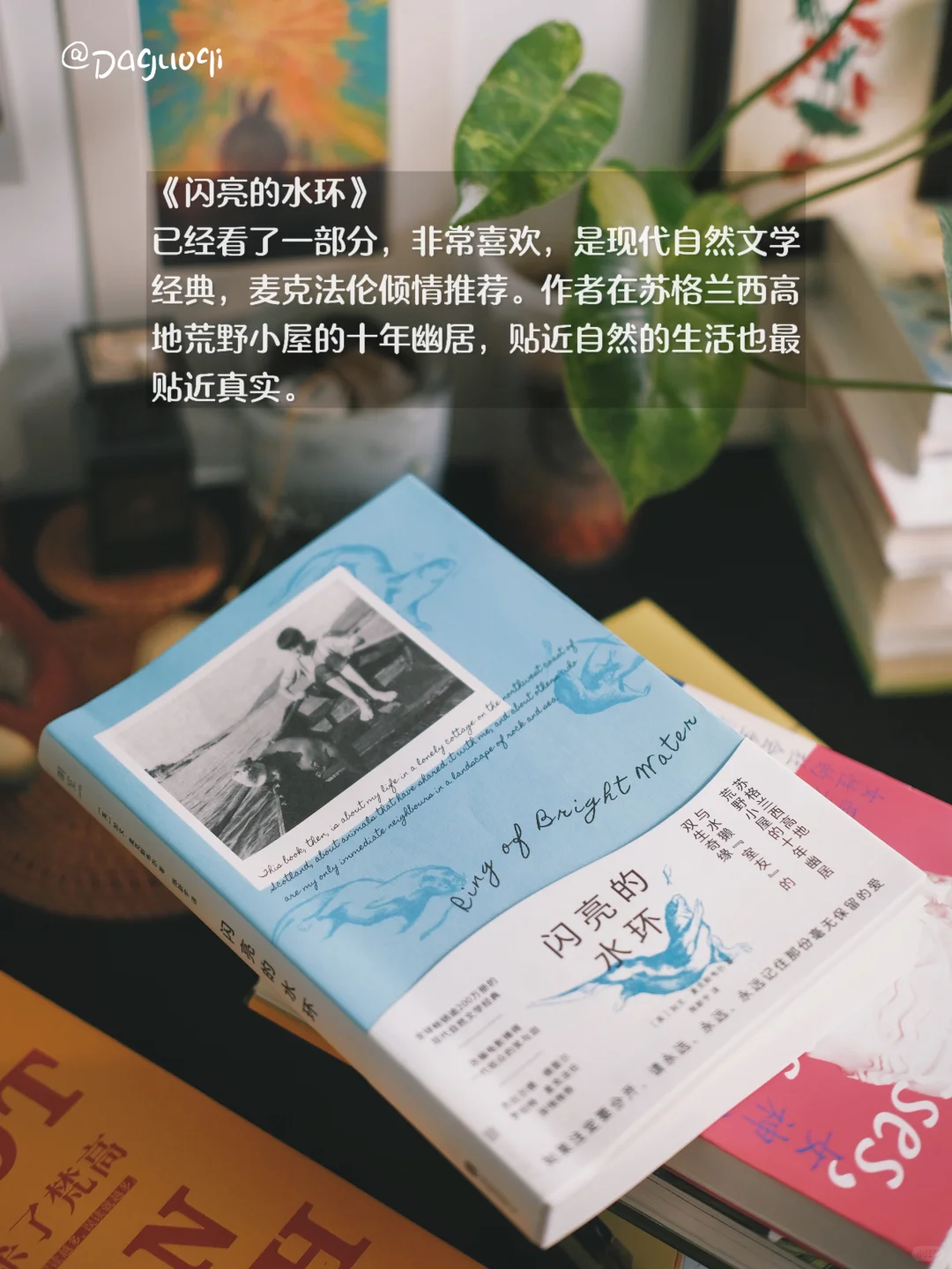 近期收到的好书·新书留影🦫🌶️🌻