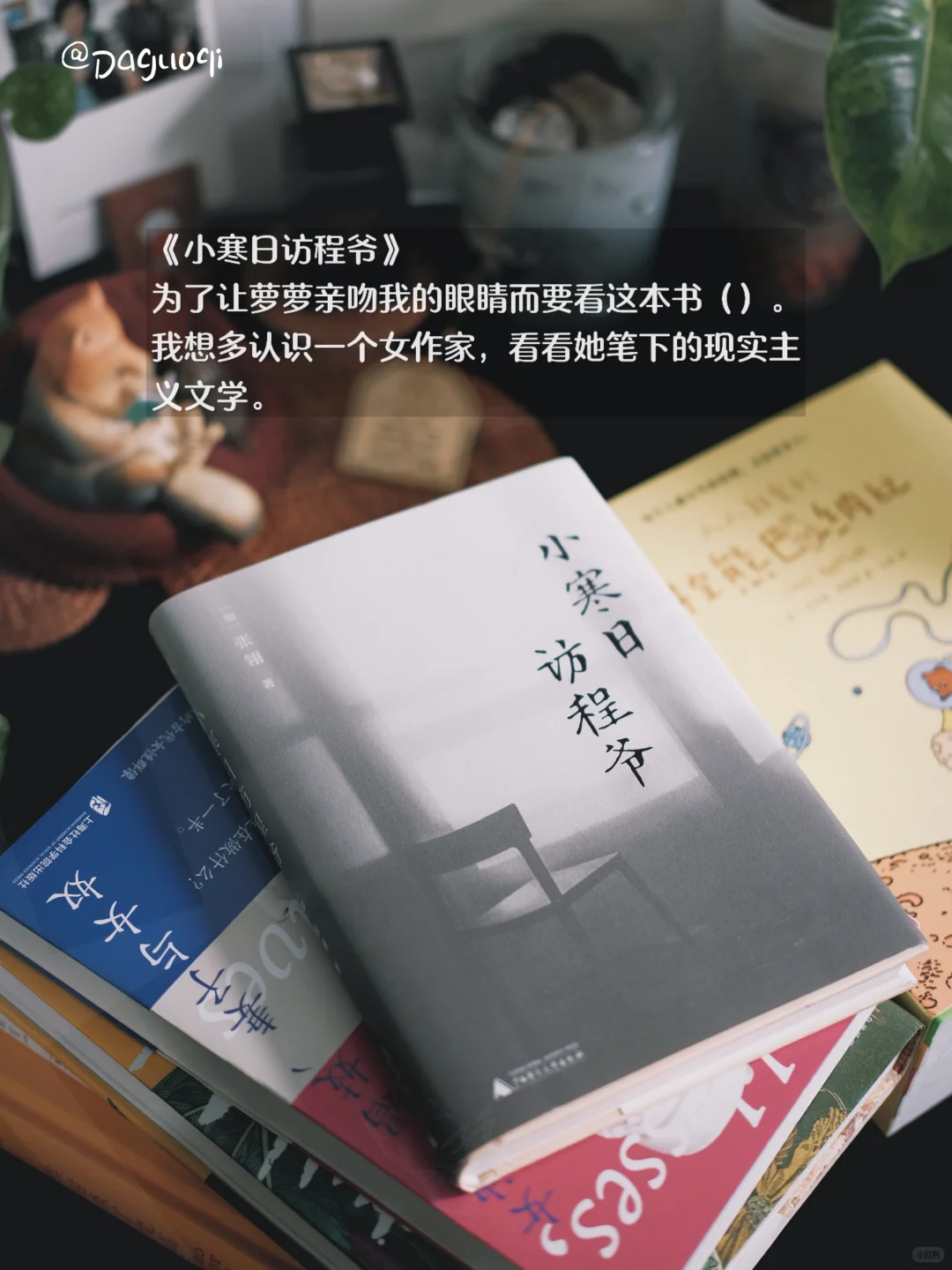 近期收到的好书·新书留影🦫🌶️🌻