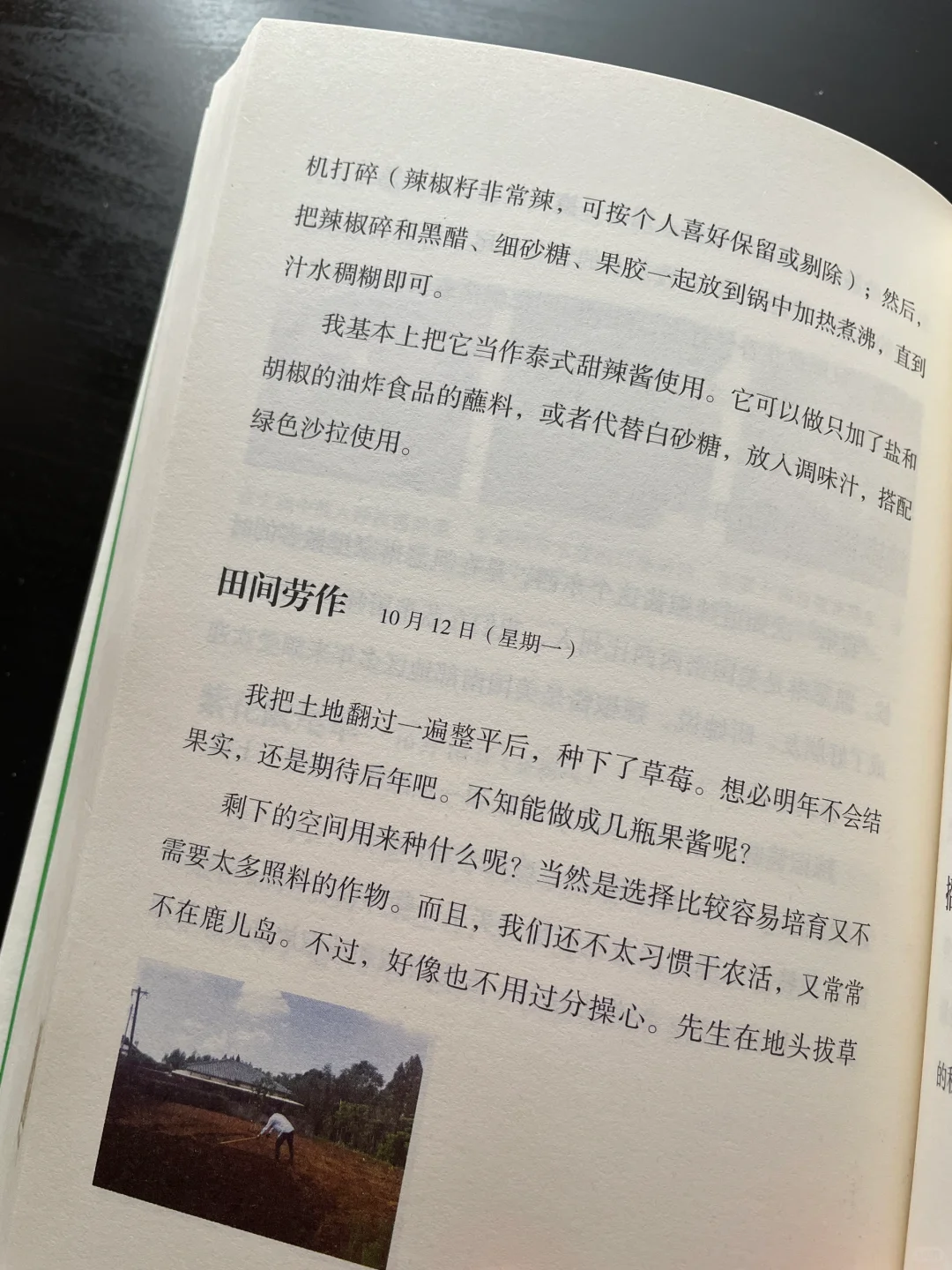 治愈自己｜简单生活，由此而生。