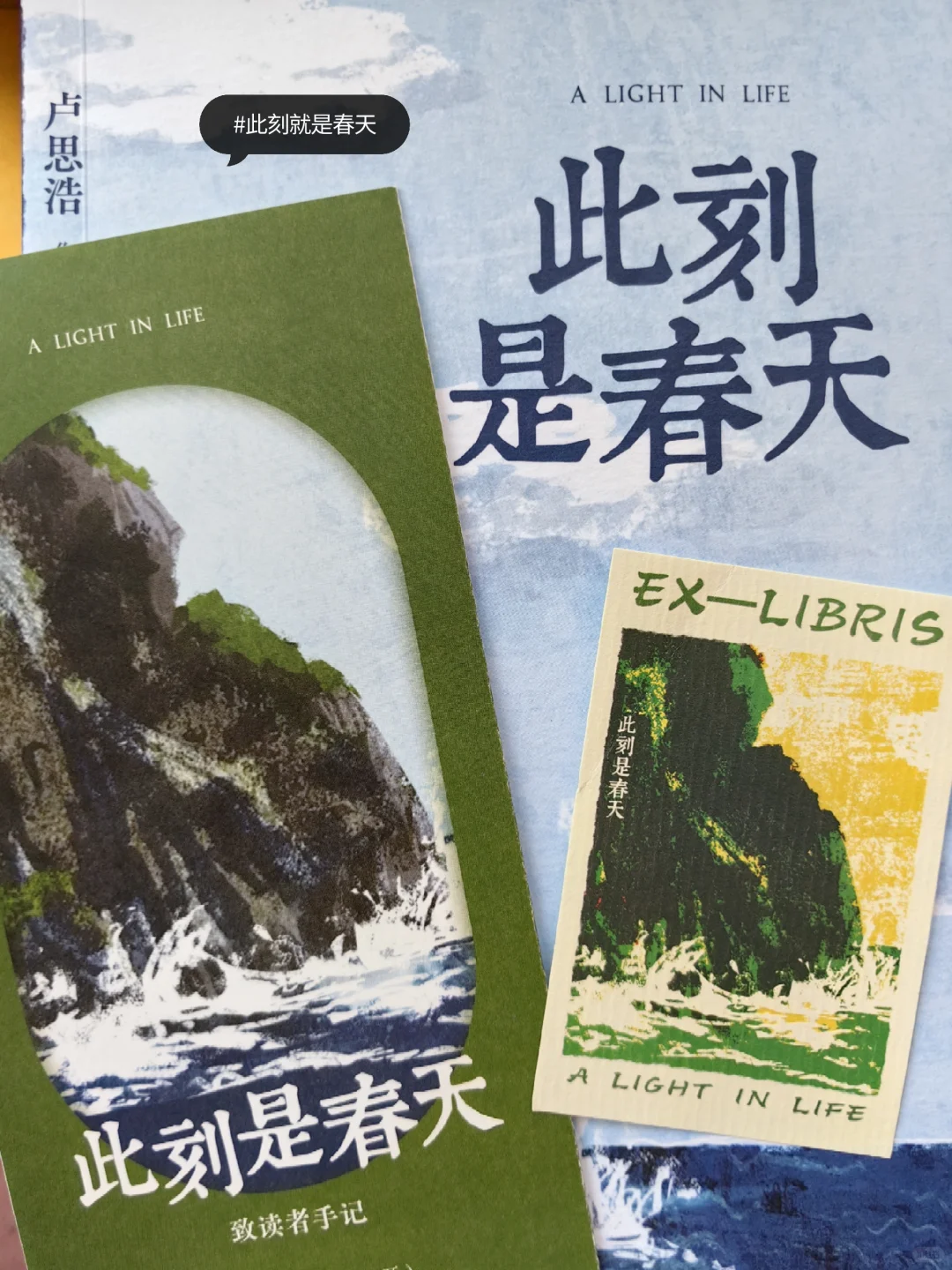 卢思浩📖｜《此刻是春天》🍃🍃