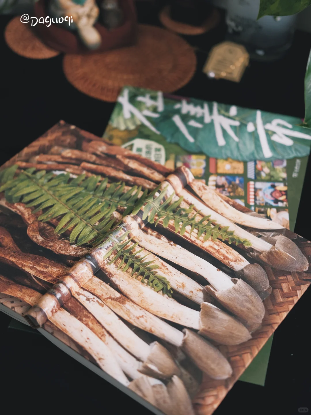 近期收到的好书·新书留影🦫🌶️🌻