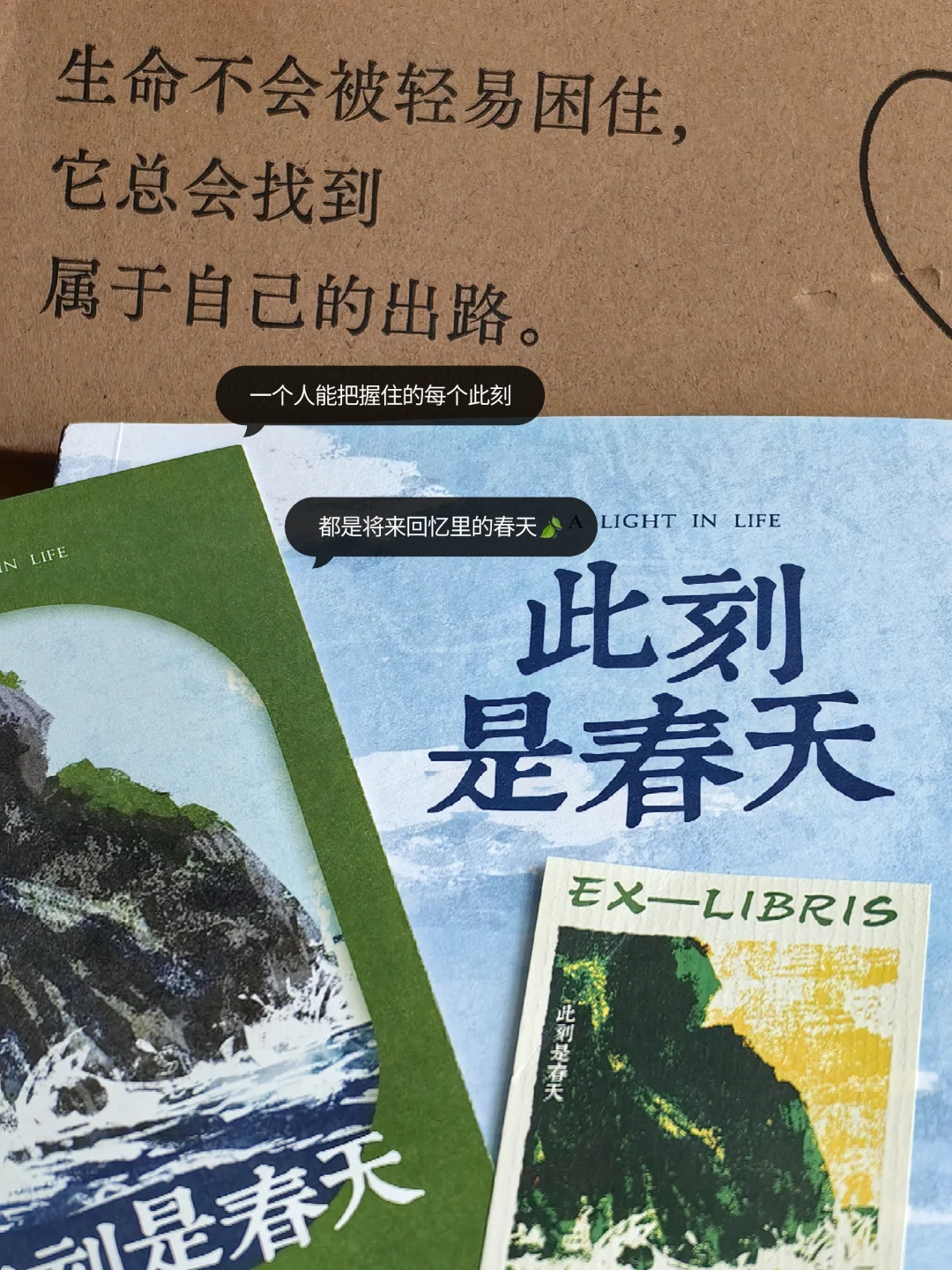 卢思浩📖｜《此刻是春天》🍃🍃
