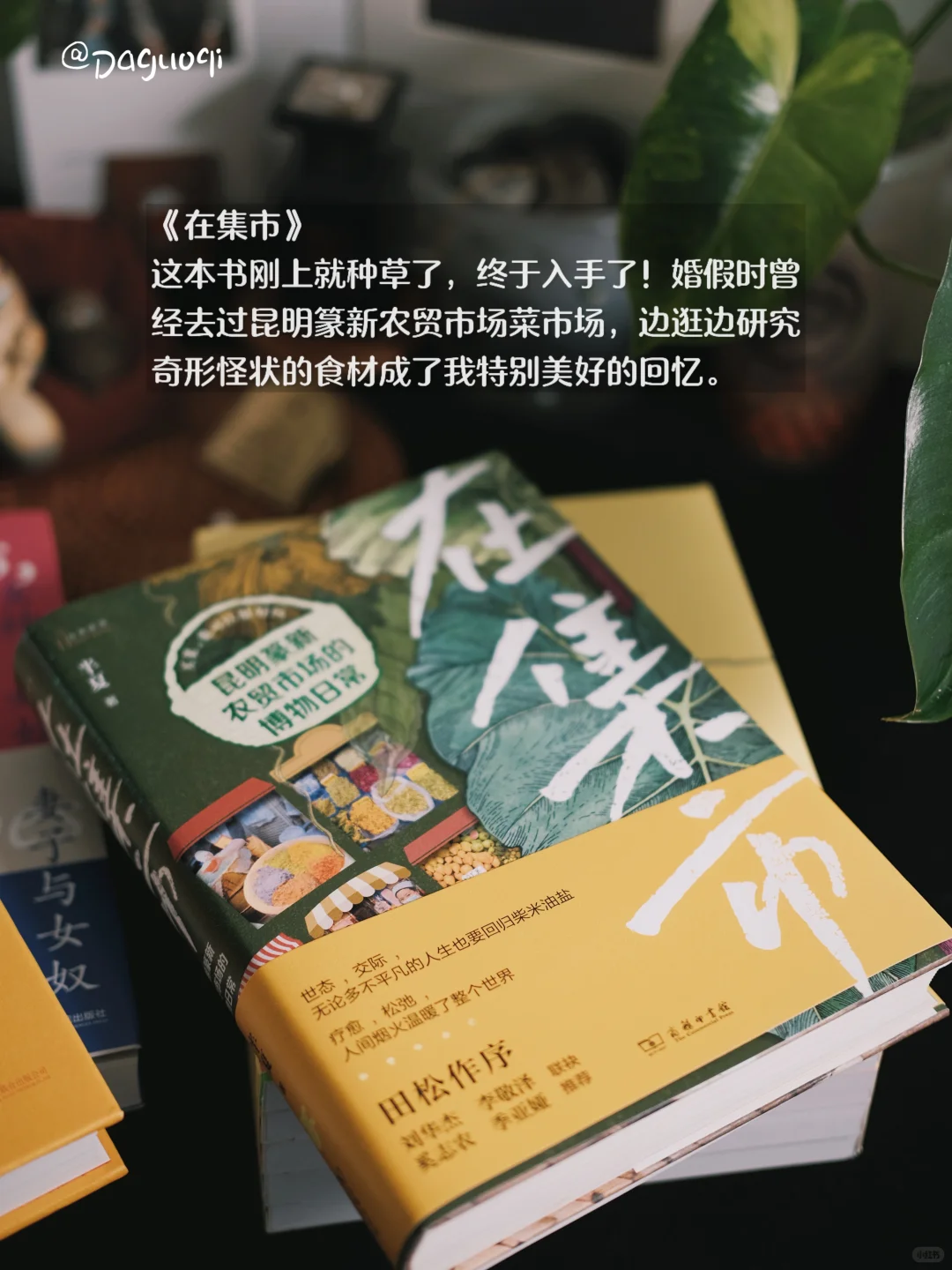 近期收到的好书·新书留影🦫🌶️🌻