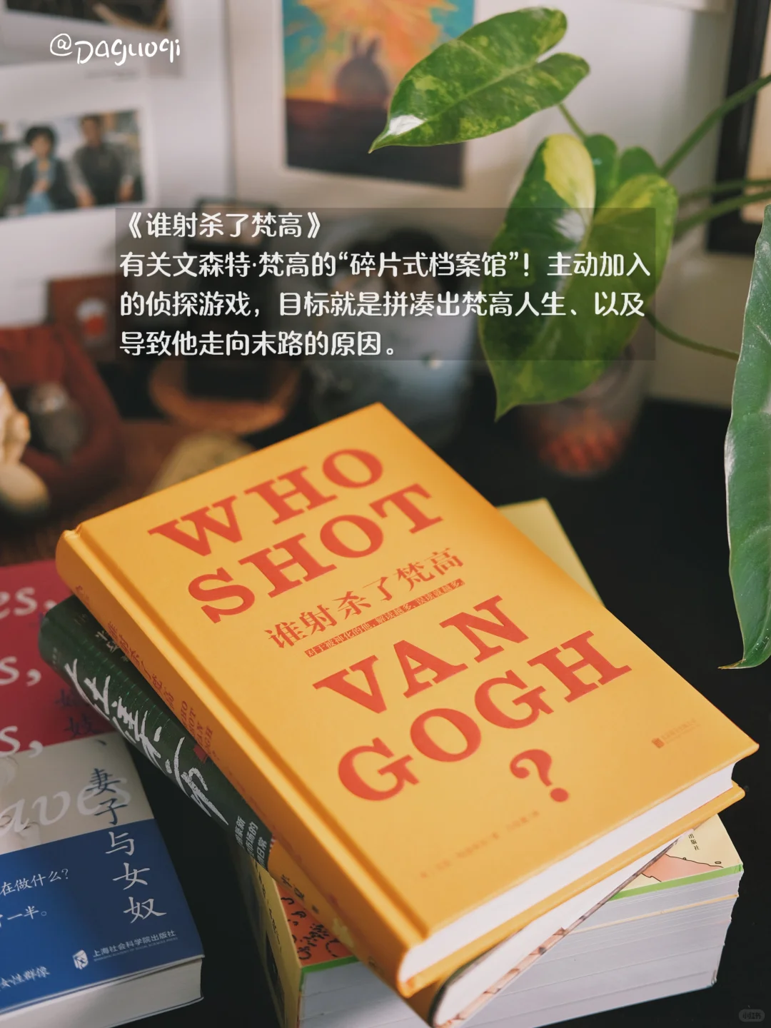 近期收到的好书·新书留影🦫🌶️🌻
