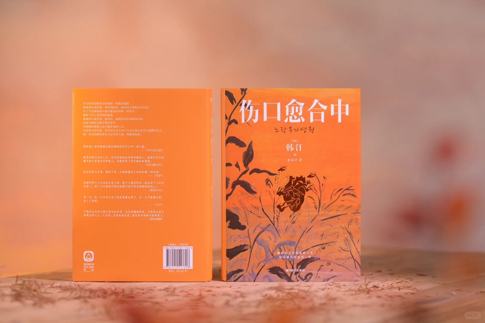 韩江新书福利！！“我打算再也不和男人睡的”