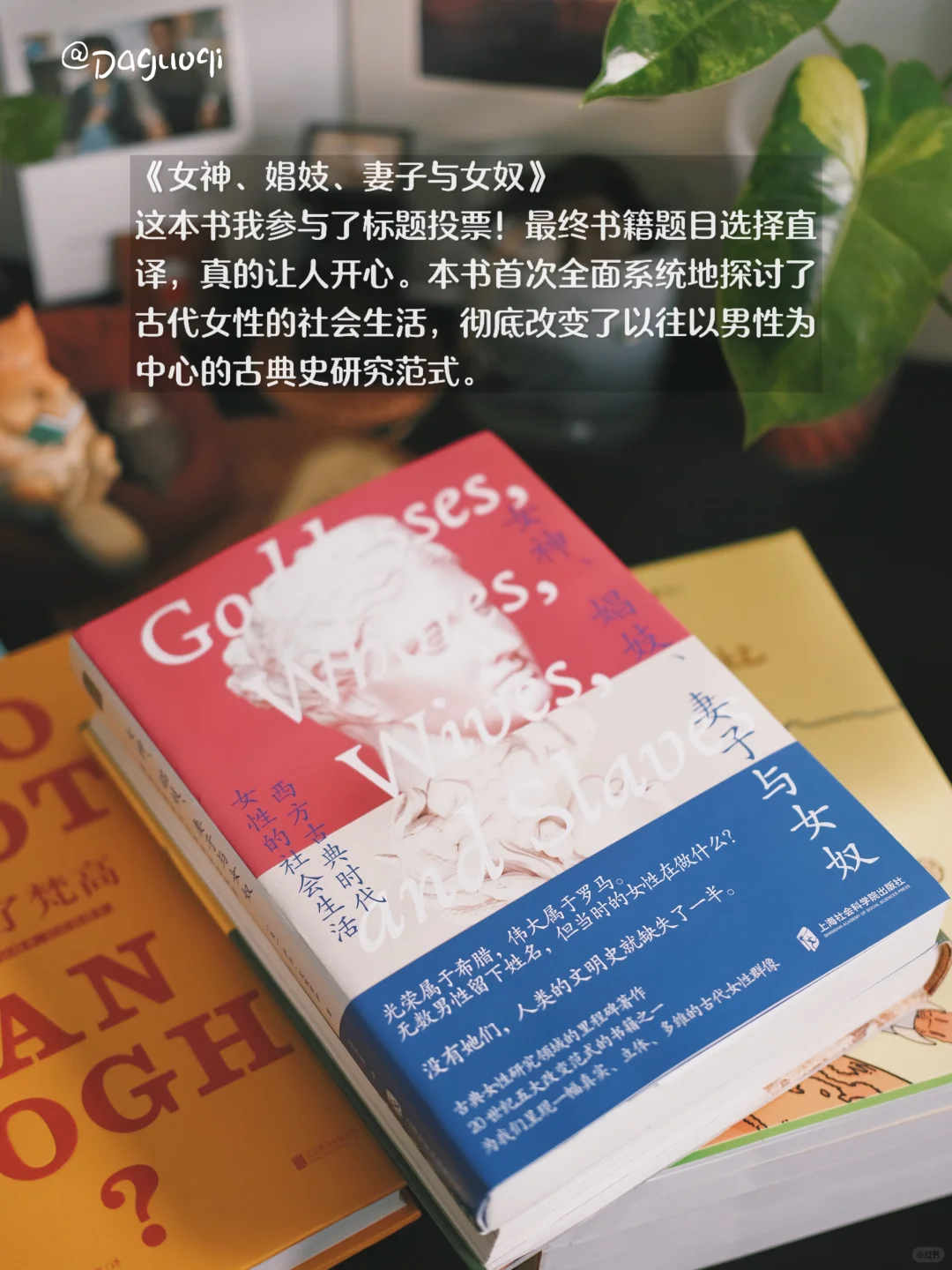 近期收到的好书·新书留影🦫🌶️🌻