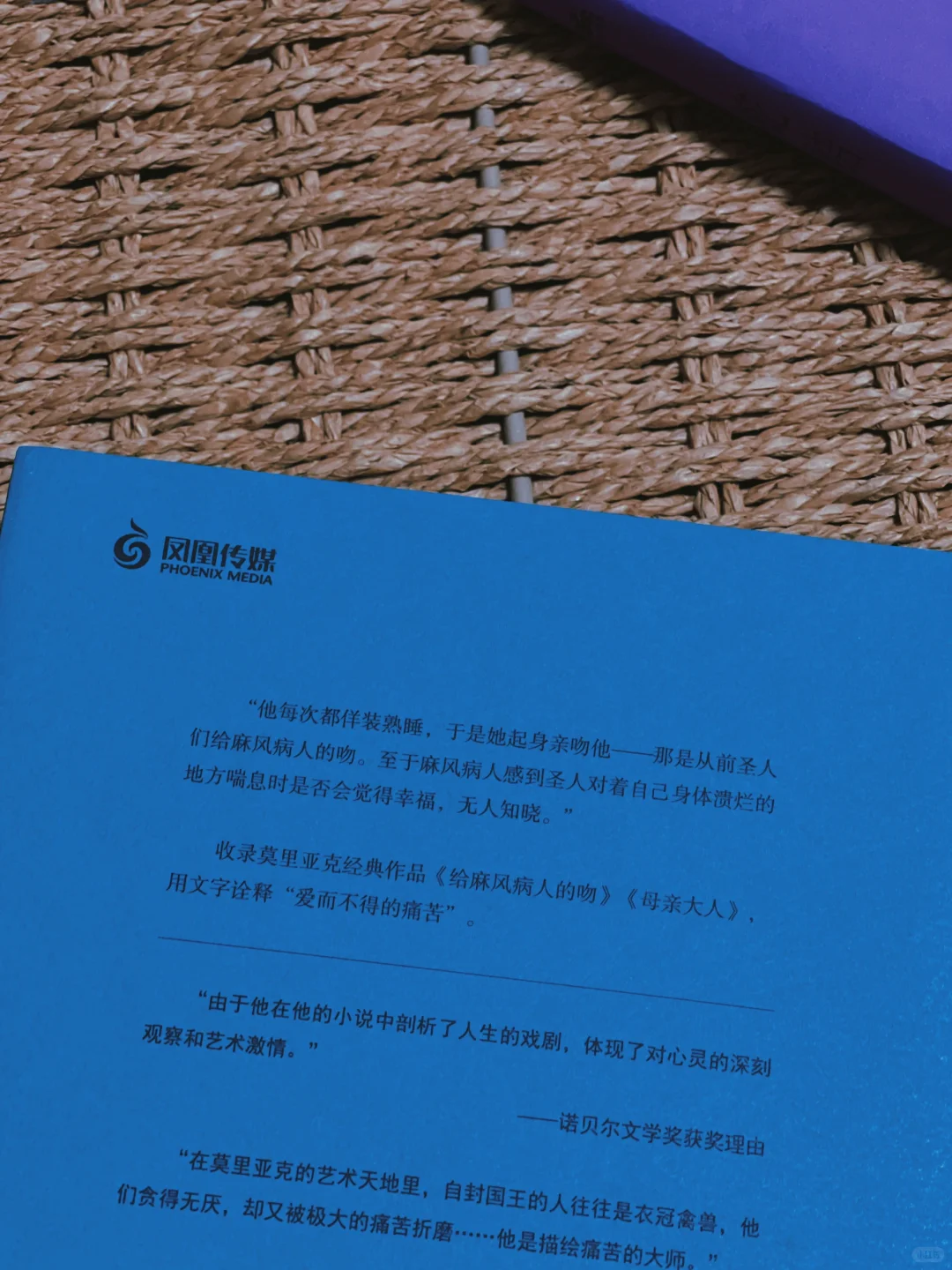 不愧是诺奖神作！他怎么这么会写啊啊啊！！！