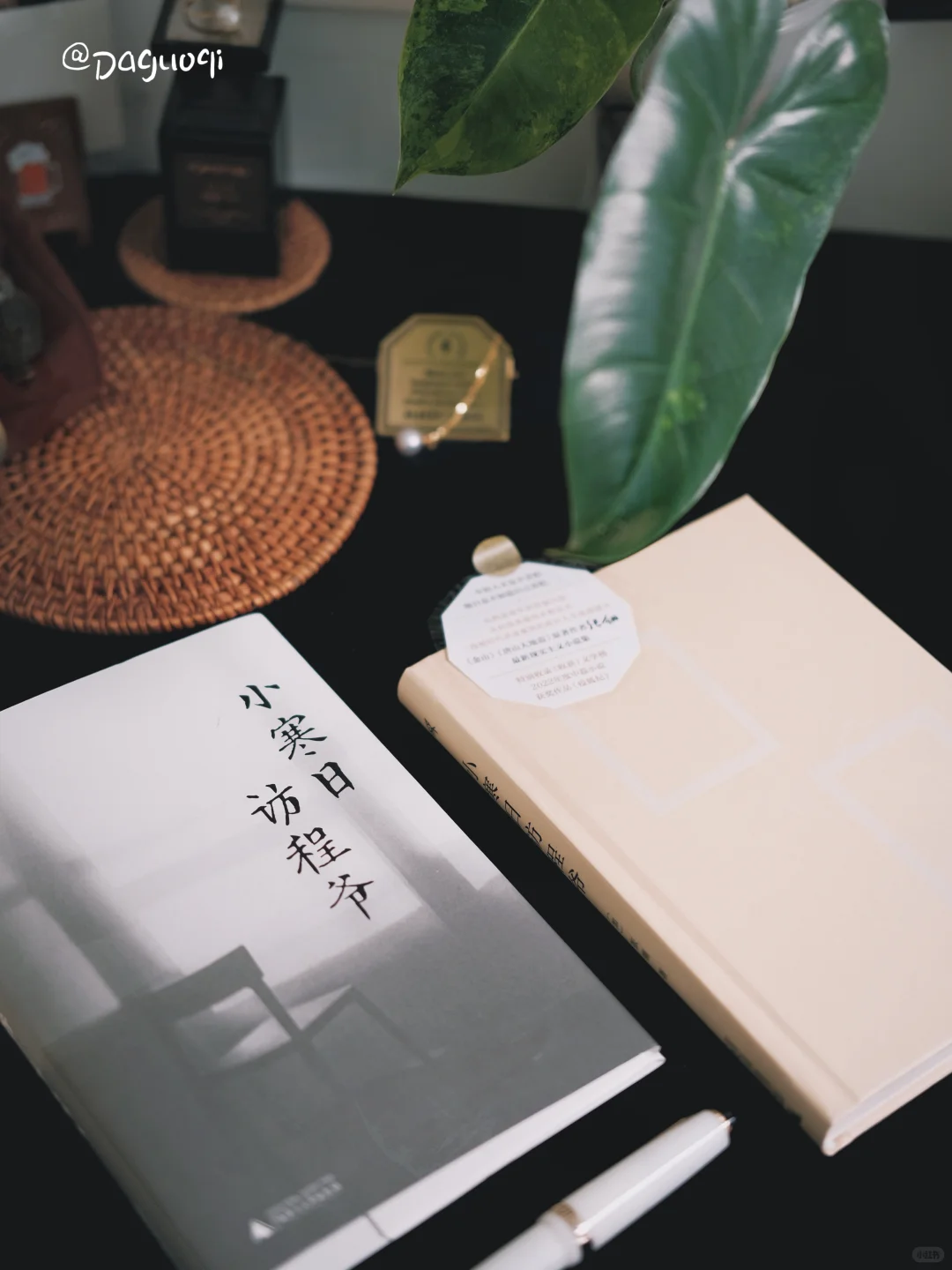 近期收到的好书·新书留影🦫🌶️🌻