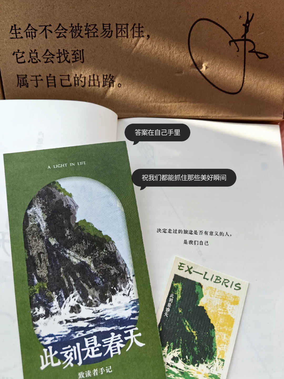 卢思浩📖｜《此刻是春天》🍃🍃