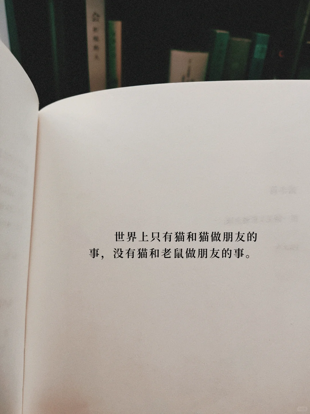 学习教员，从不内耗！！！