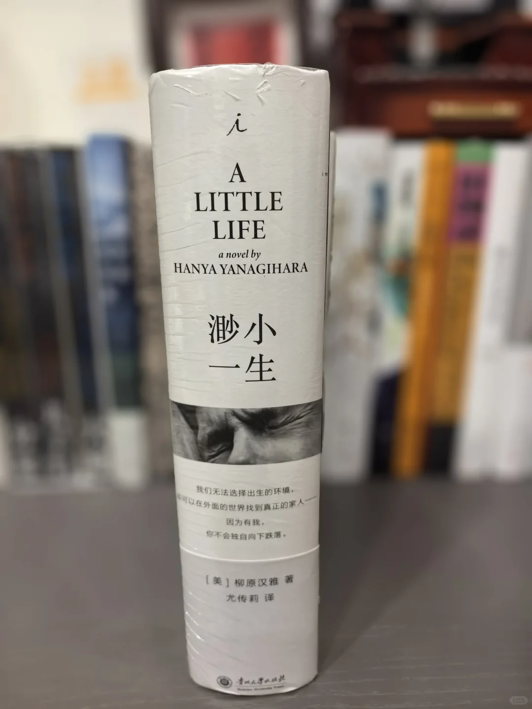 📚 新书推荐 | 《渺小一生》