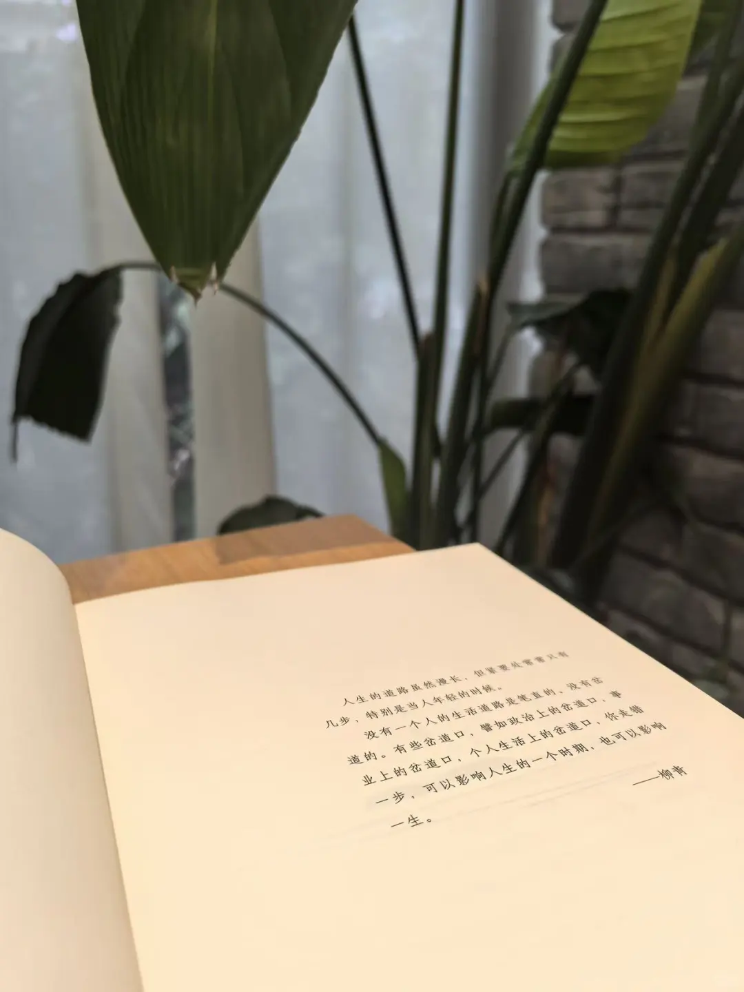 这本书治好了我的内耗