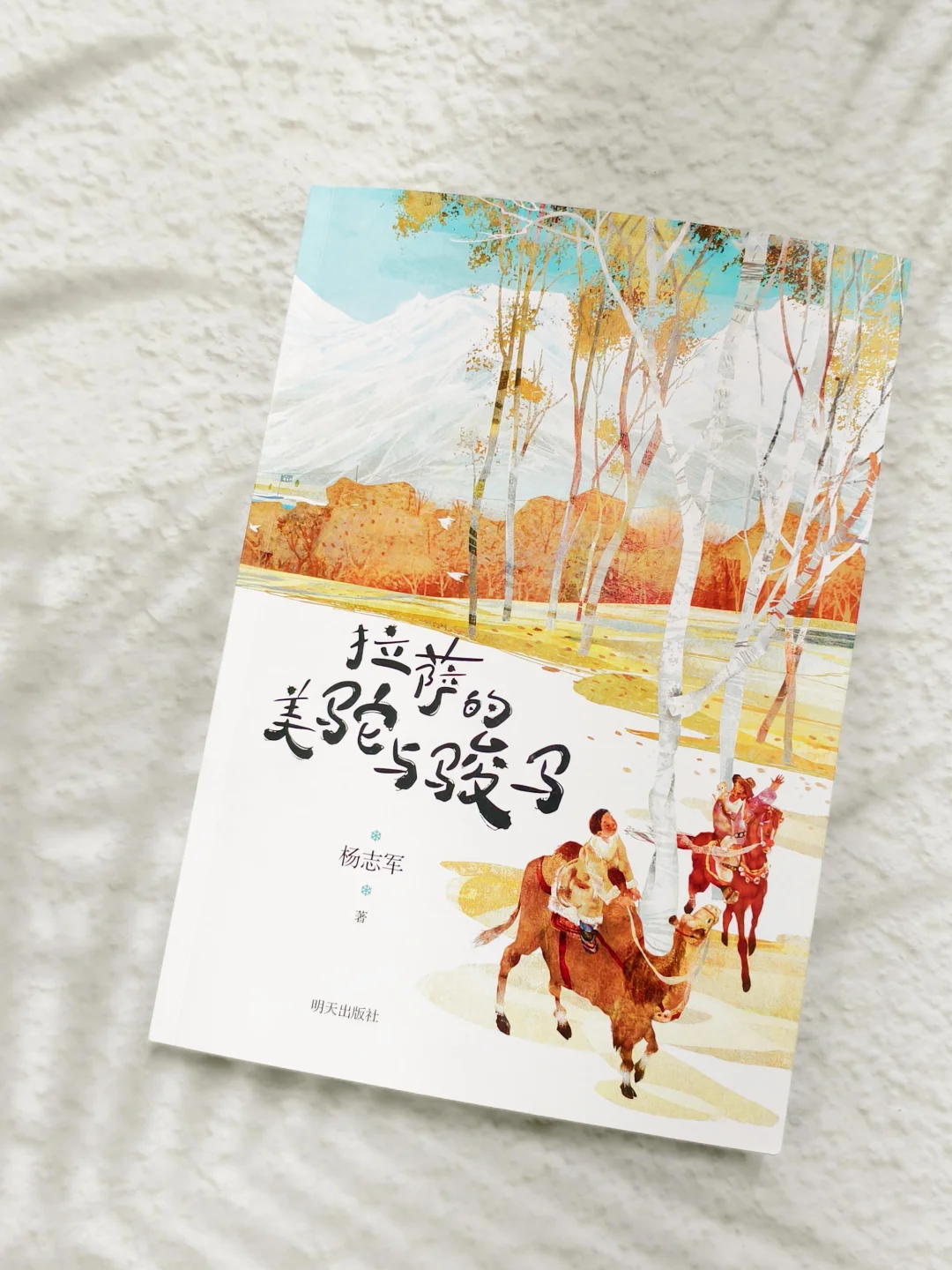 ✨茅奖作者杨志军新书｜试读官招募ing