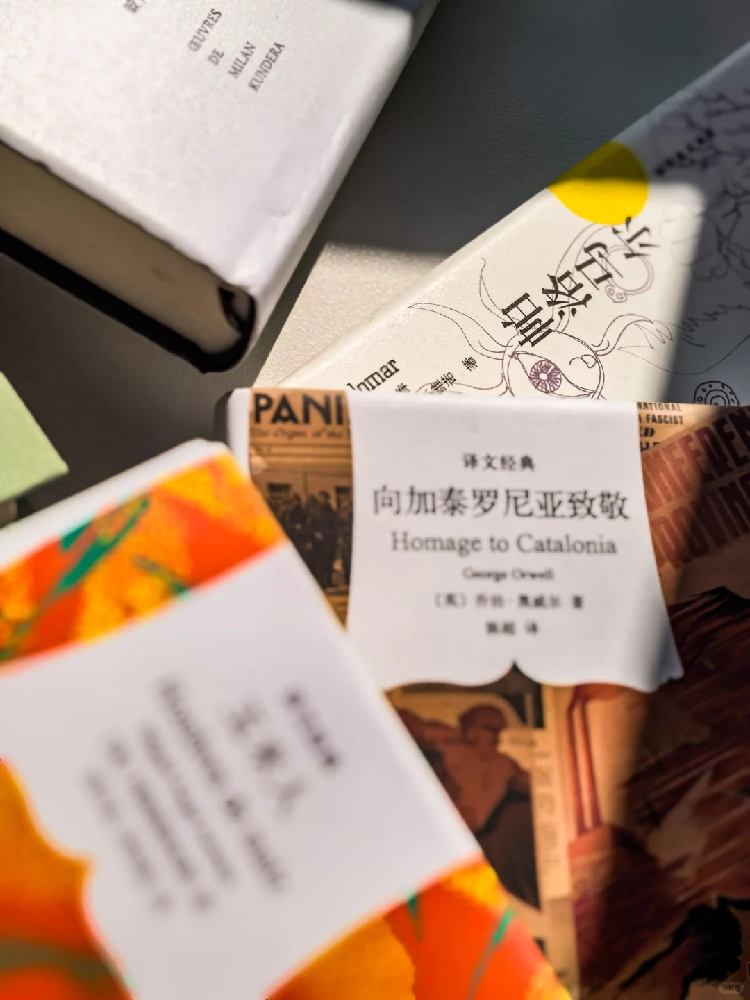 书单强推！文学爱好者的小众宝藏书单！
