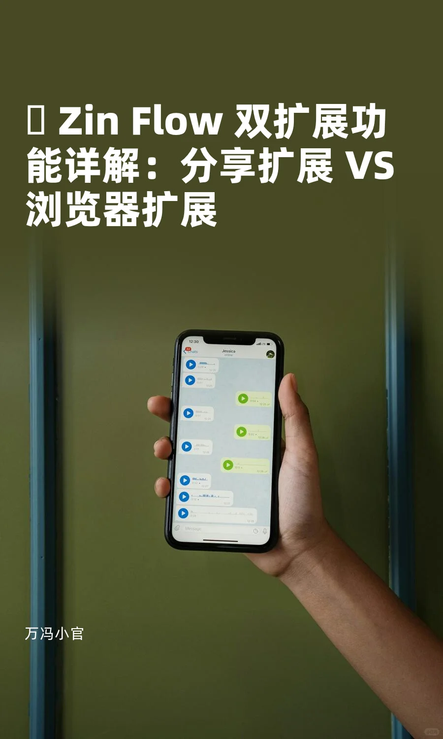 ZinFlow扩展功能详解 分享扩展vs浏览器扩展
