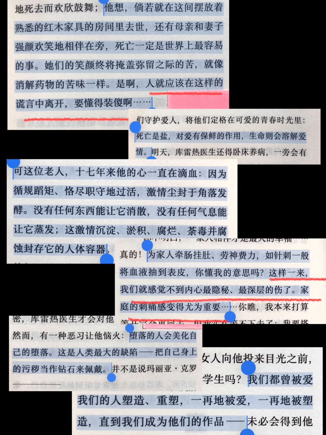 我勒病态又精彩。。。诺奖水平诚不欺我🥲