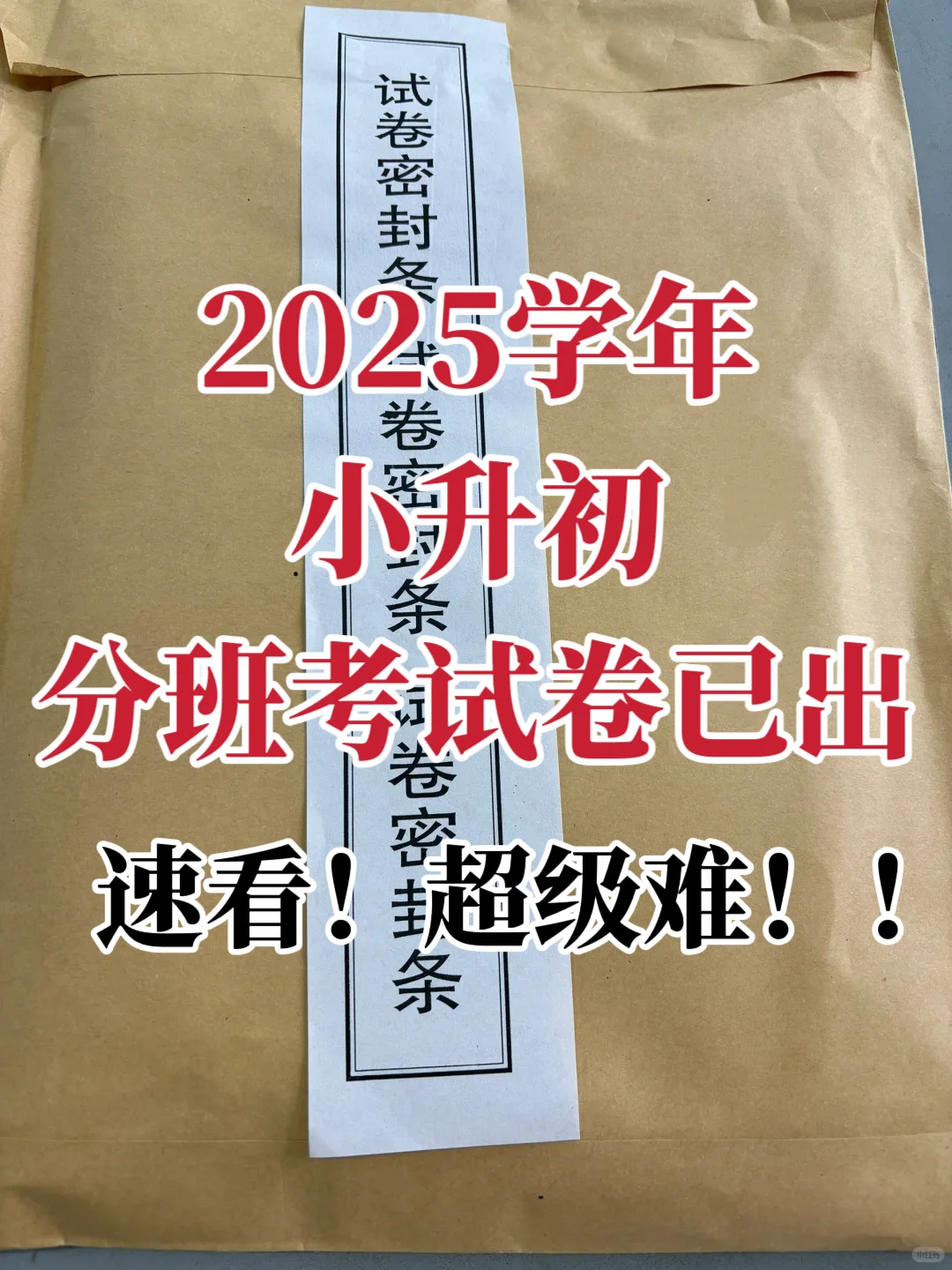 2025学年小升初语文分班考试期末押题卷