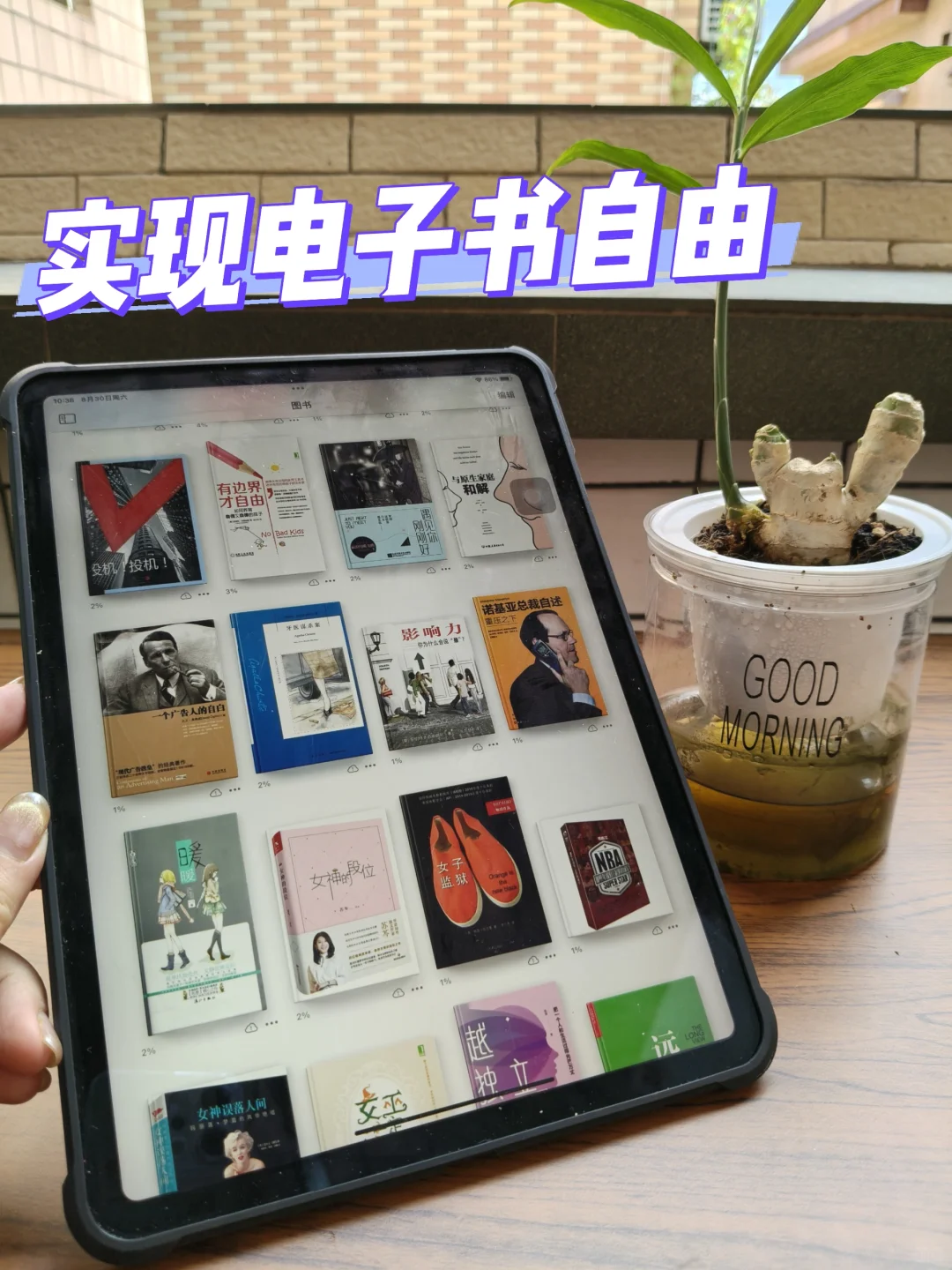 谁懂！在家就实现了读书自由！！