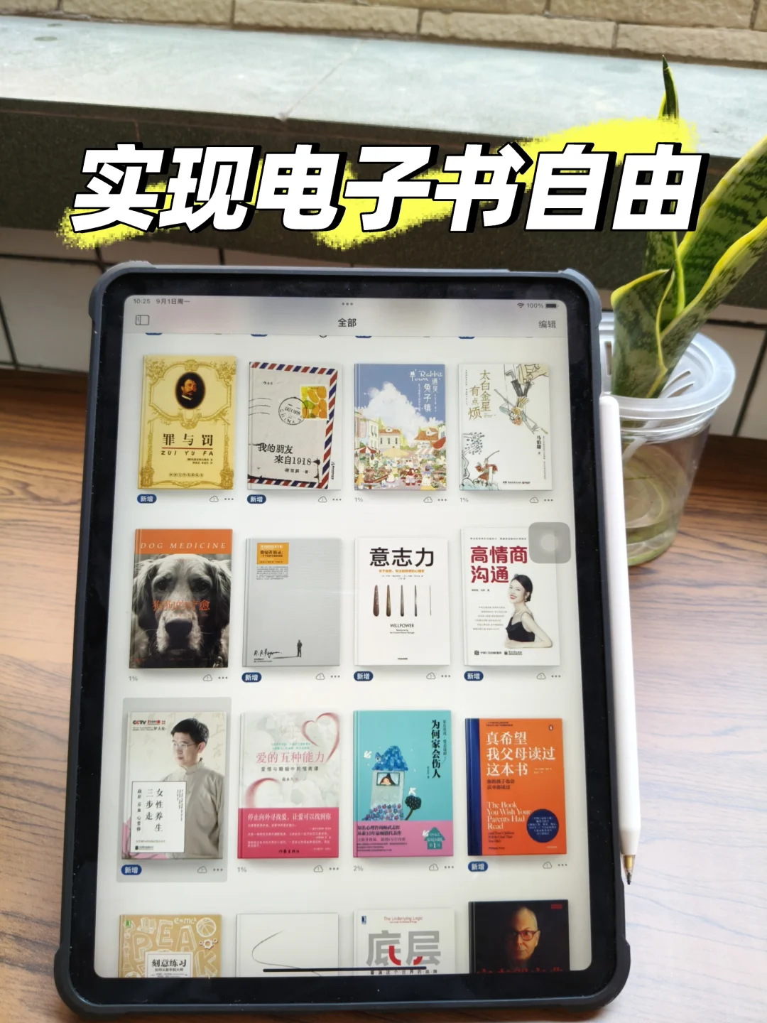 我实现了电子书自由！！感谢小红书