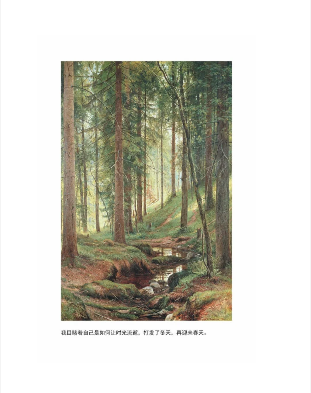 《瓦尔登湖》送电子版图书～