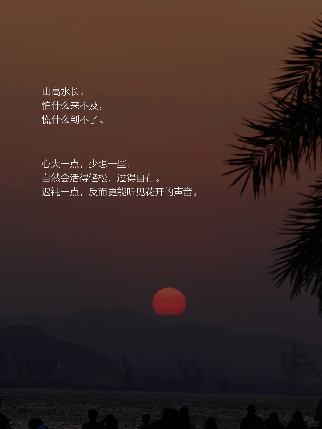 做一个钝感女生到底有多爽
