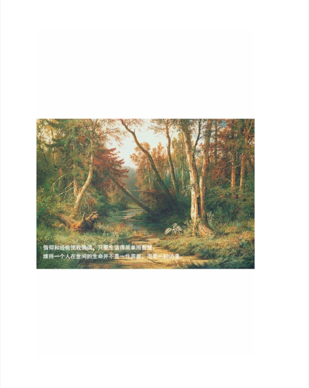 《瓦尔登湖》送电子版图书～