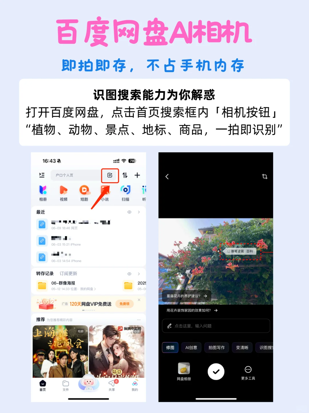挑战认出评论区所有的花🌸