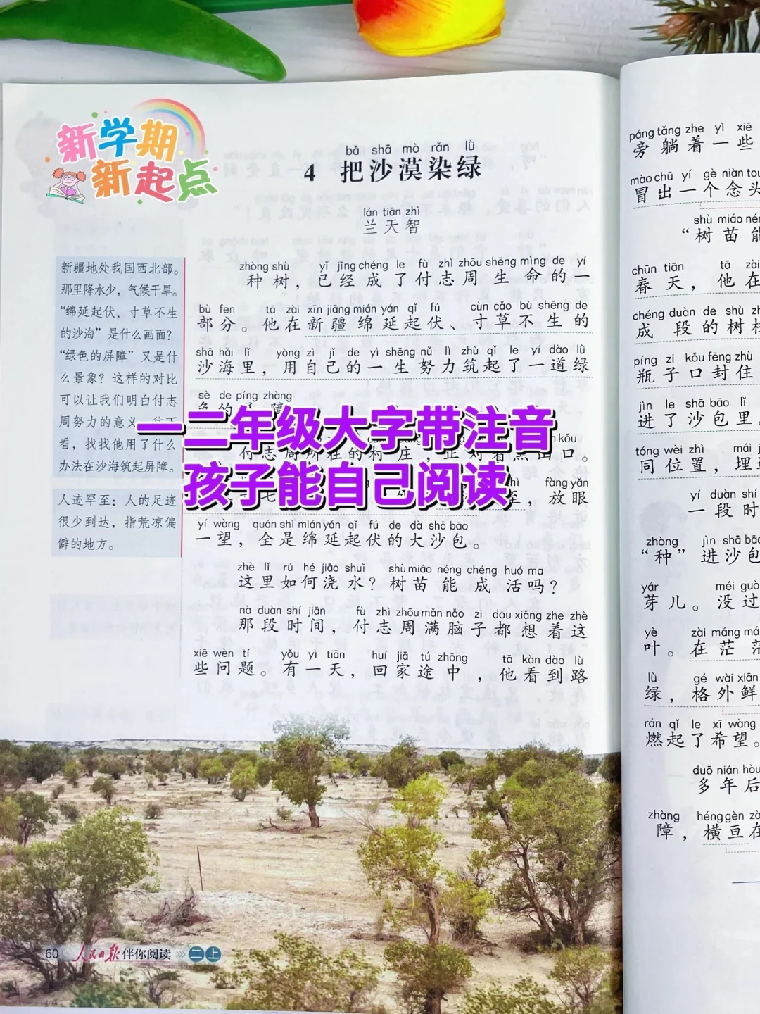 《人民日报伴你阅读》篇篇经典📚