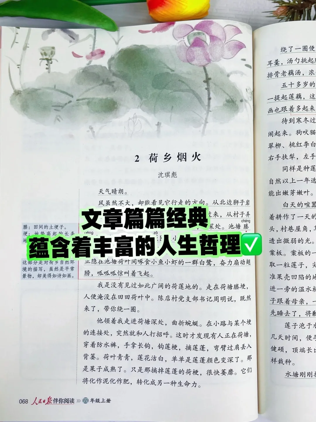 人民日报伴你阅读，篇篇经典🔥