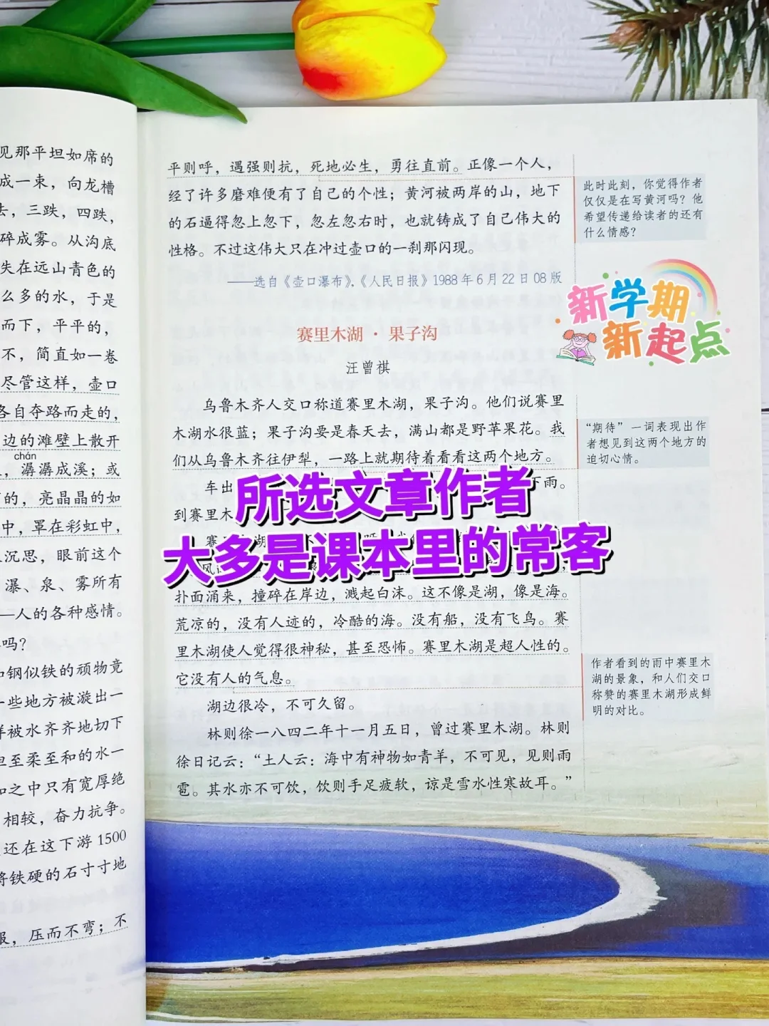 《人民日报伴你阅读》篇篇经典📚