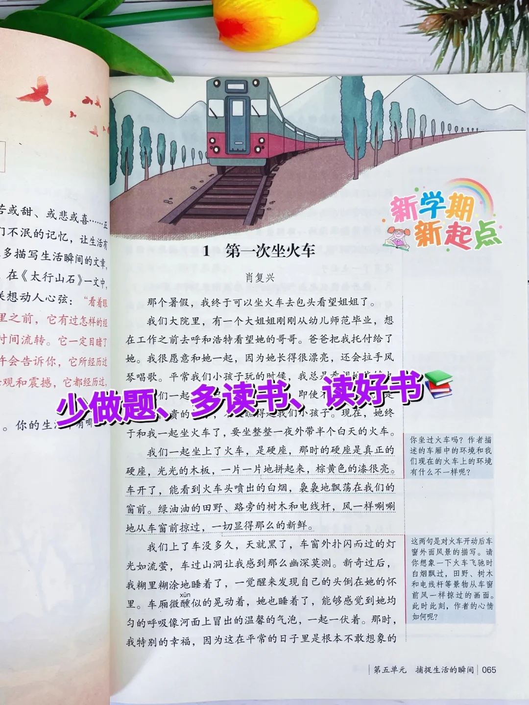《人民日报伴你阅读》篇篇经典📚