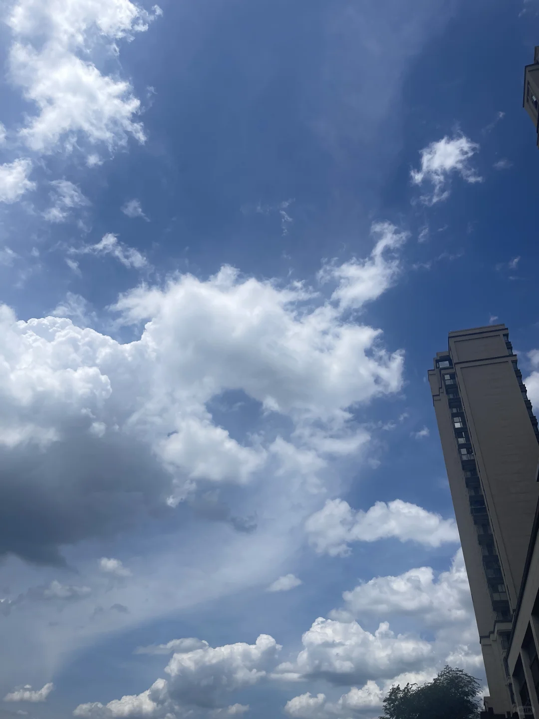 改变我命运的 4 本书