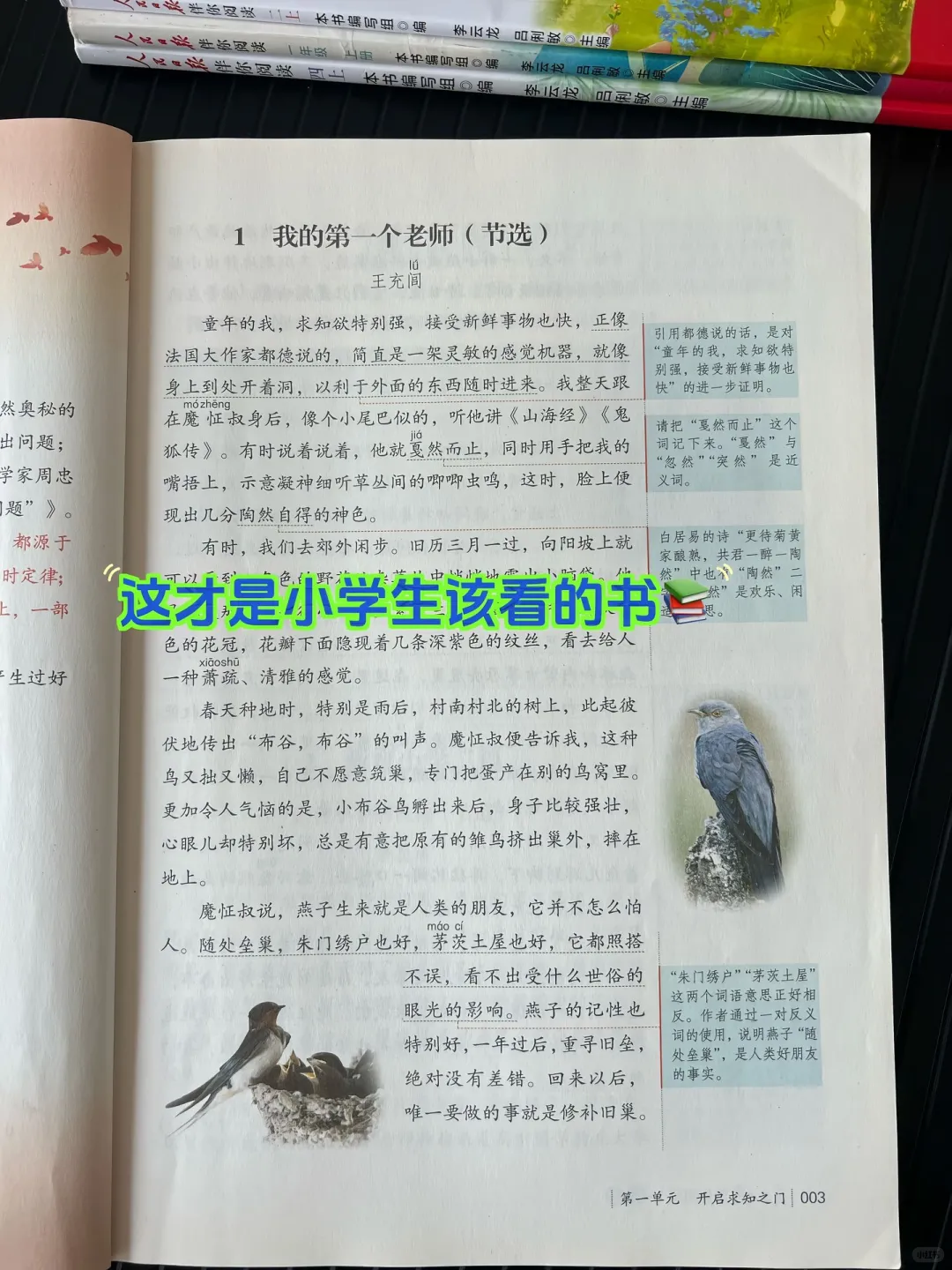 《人民日报》伴你阅读，文章篇篇经典‼️
