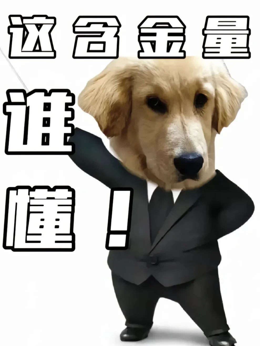 电子书资源从哪找？看这一篇就够了