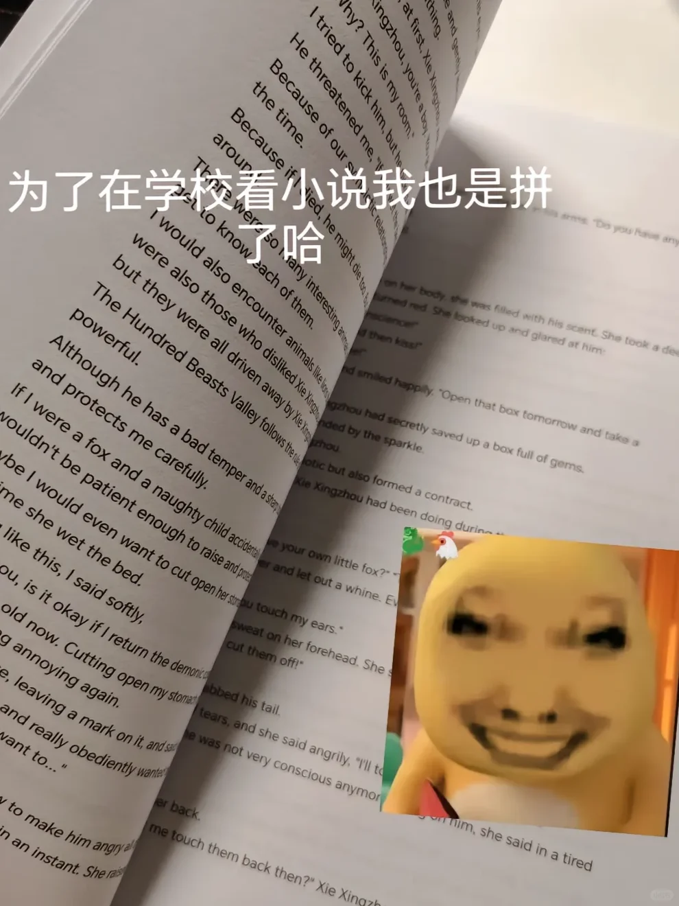 电子书资源从哪找？看这一篇就够了