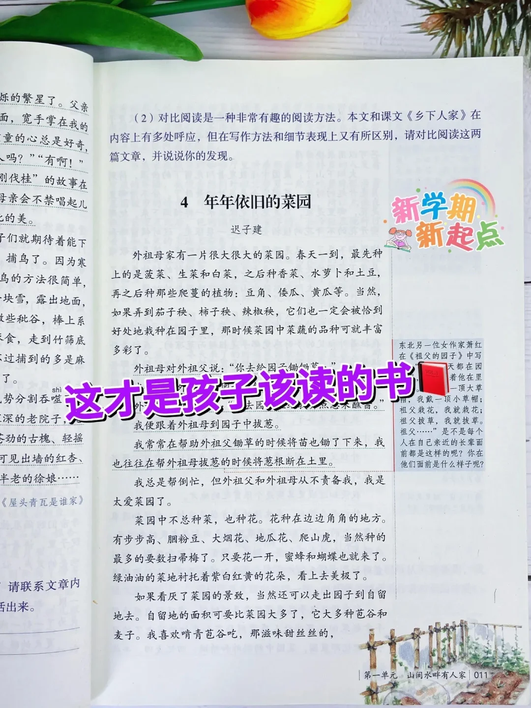 《人民日报伴你阅读》篇篇经典📚