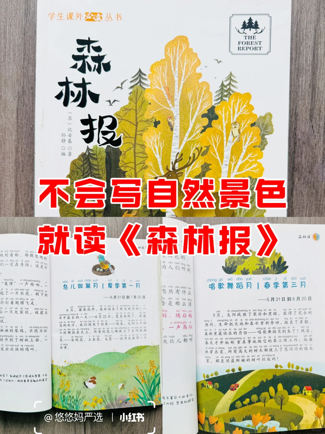 1-3年级课外阅读书推荐📚都是国际大奖名著