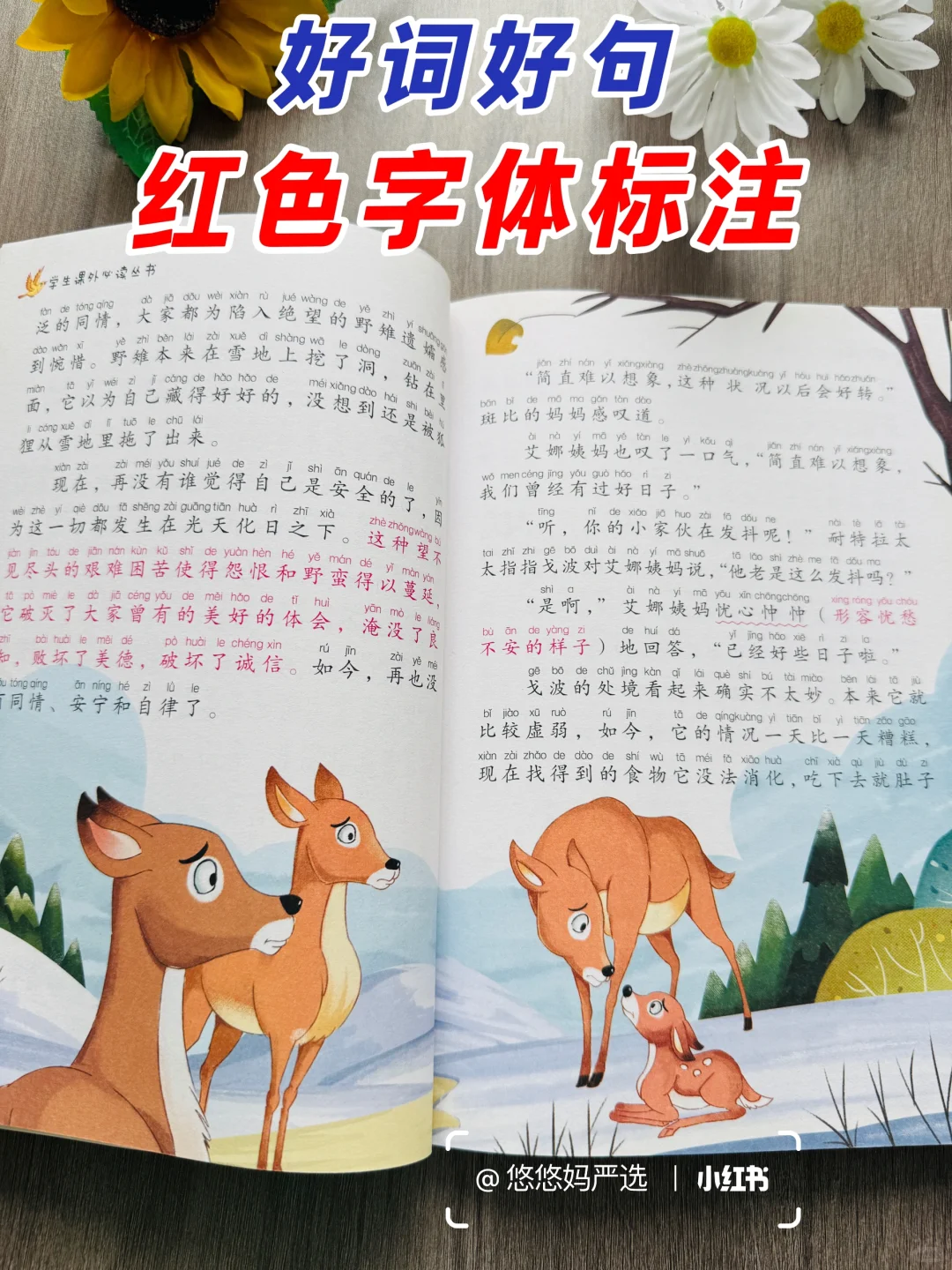 1-3年级课外阅读书推荐📚都是国际大奖名著