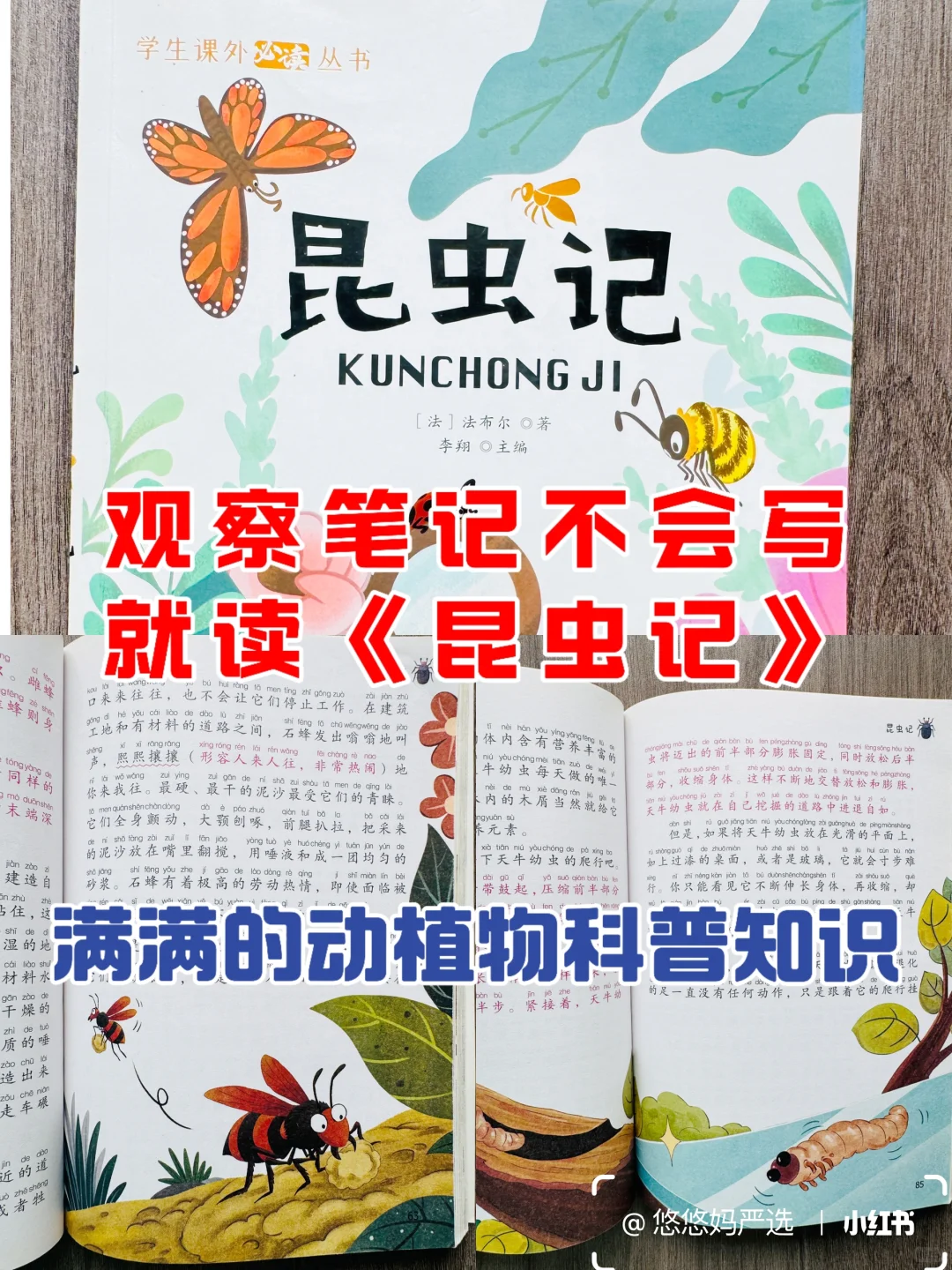 1-3年级课外阅读书推荐📚都是国际大奖名著