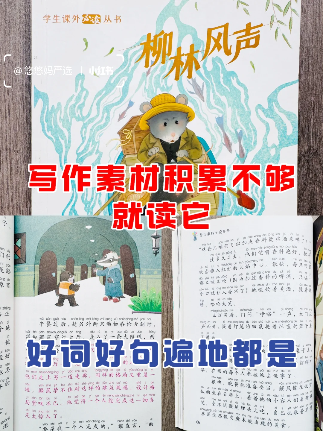 1-3年级课外阅读书推荐📚都是国际大奖名著