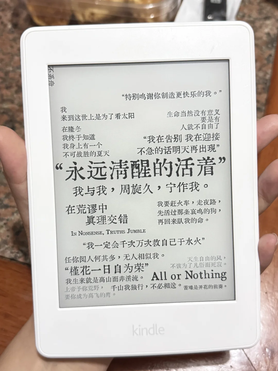 我与我 周旋久 宁作我